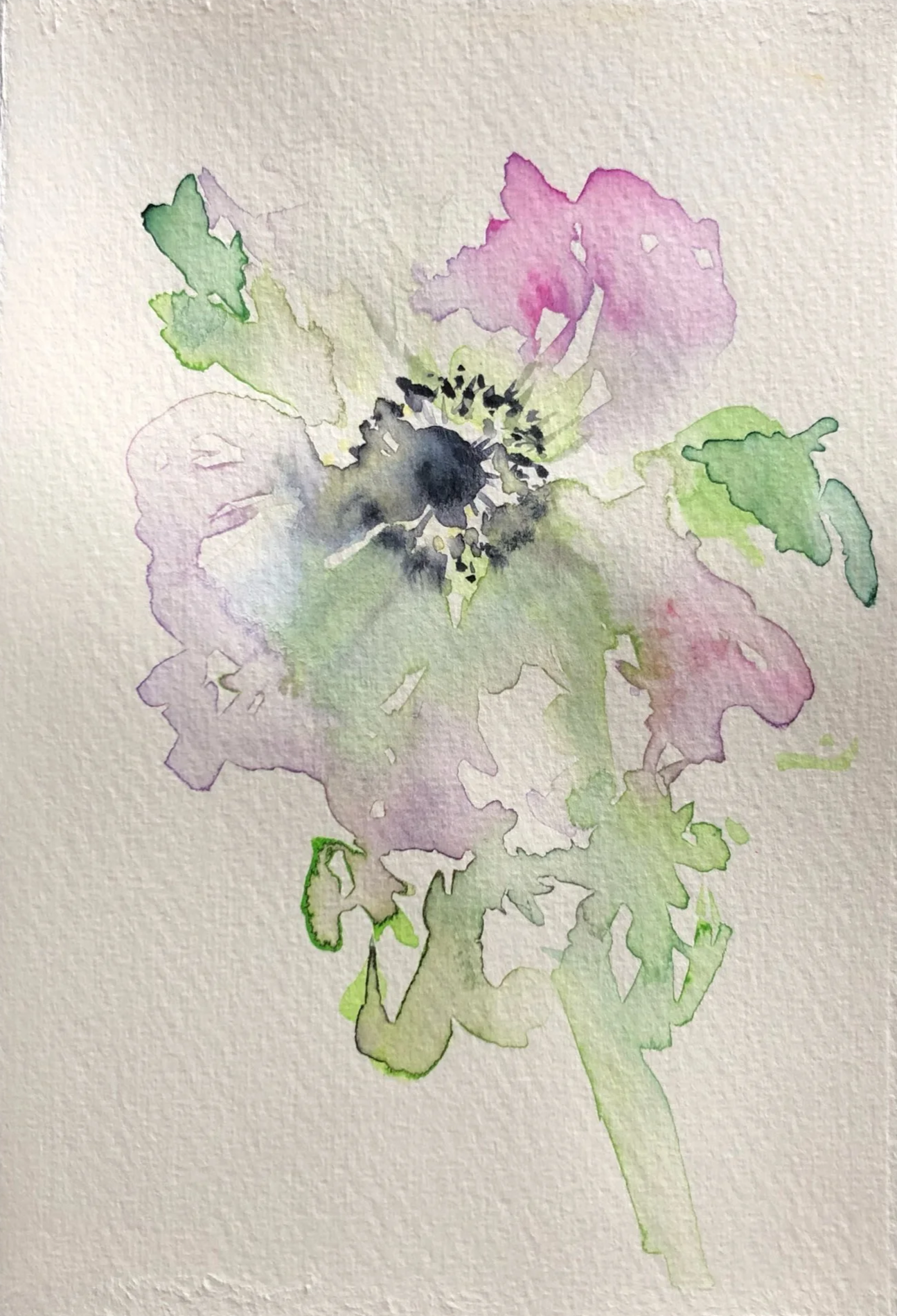 Watercolor painting of a flower with light purple, pink, green, and black accents.