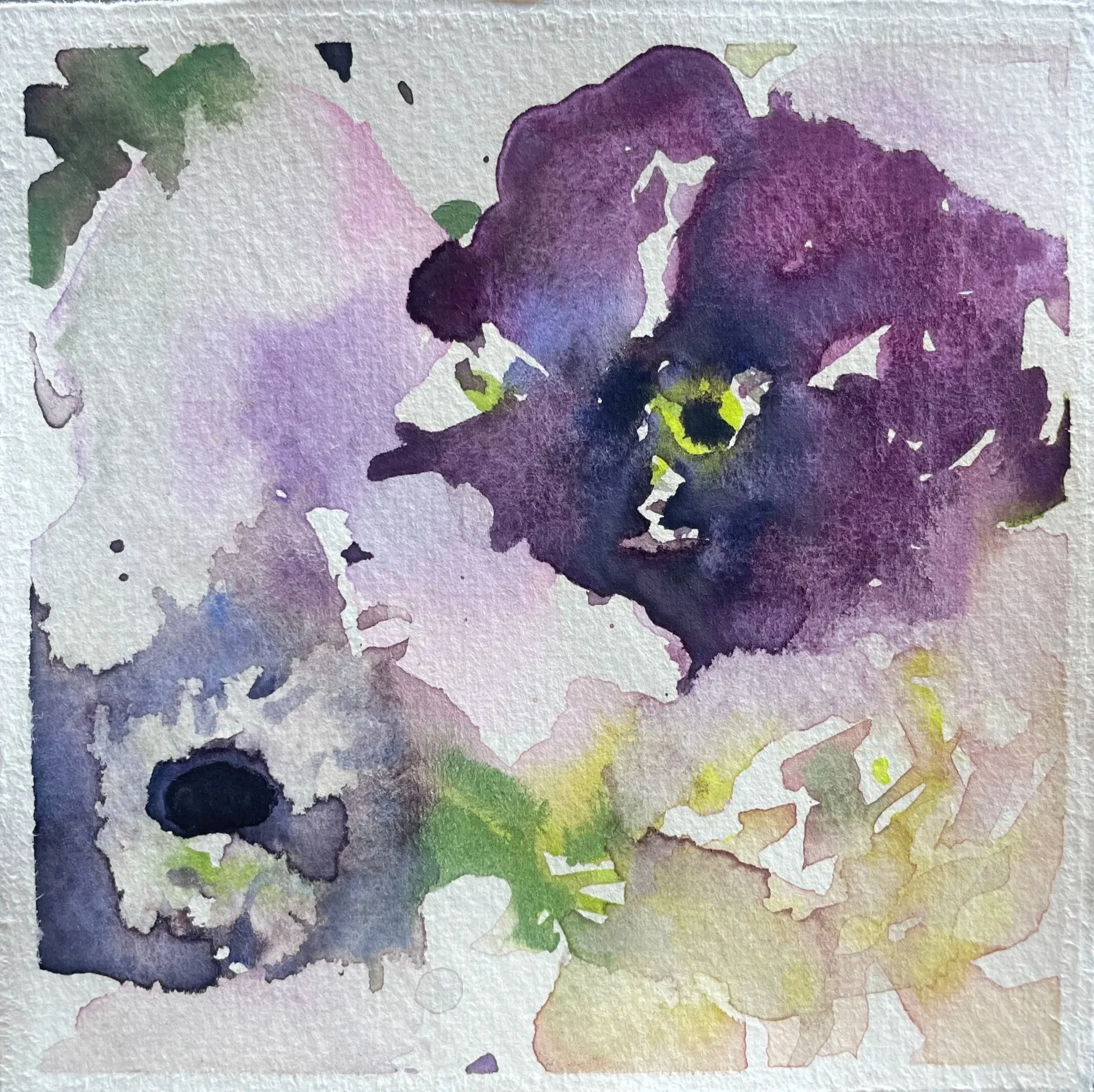 Watercolor painting of purple and white pansy flowers with green leaves.
