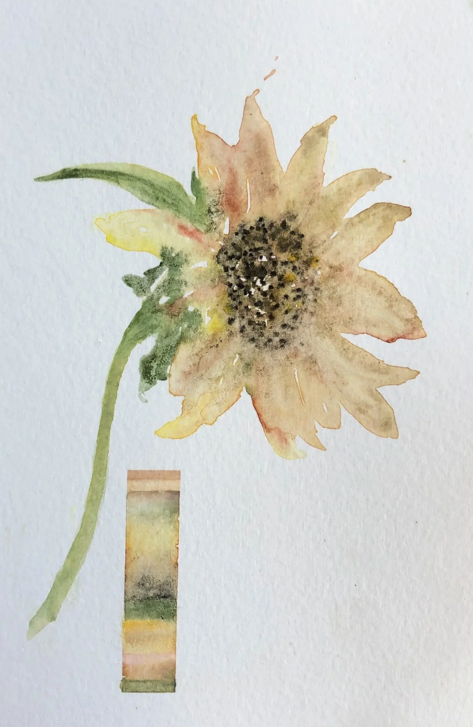 Watercolor painting of a sunflower with a partly uncolored stem and a color bar below it.
