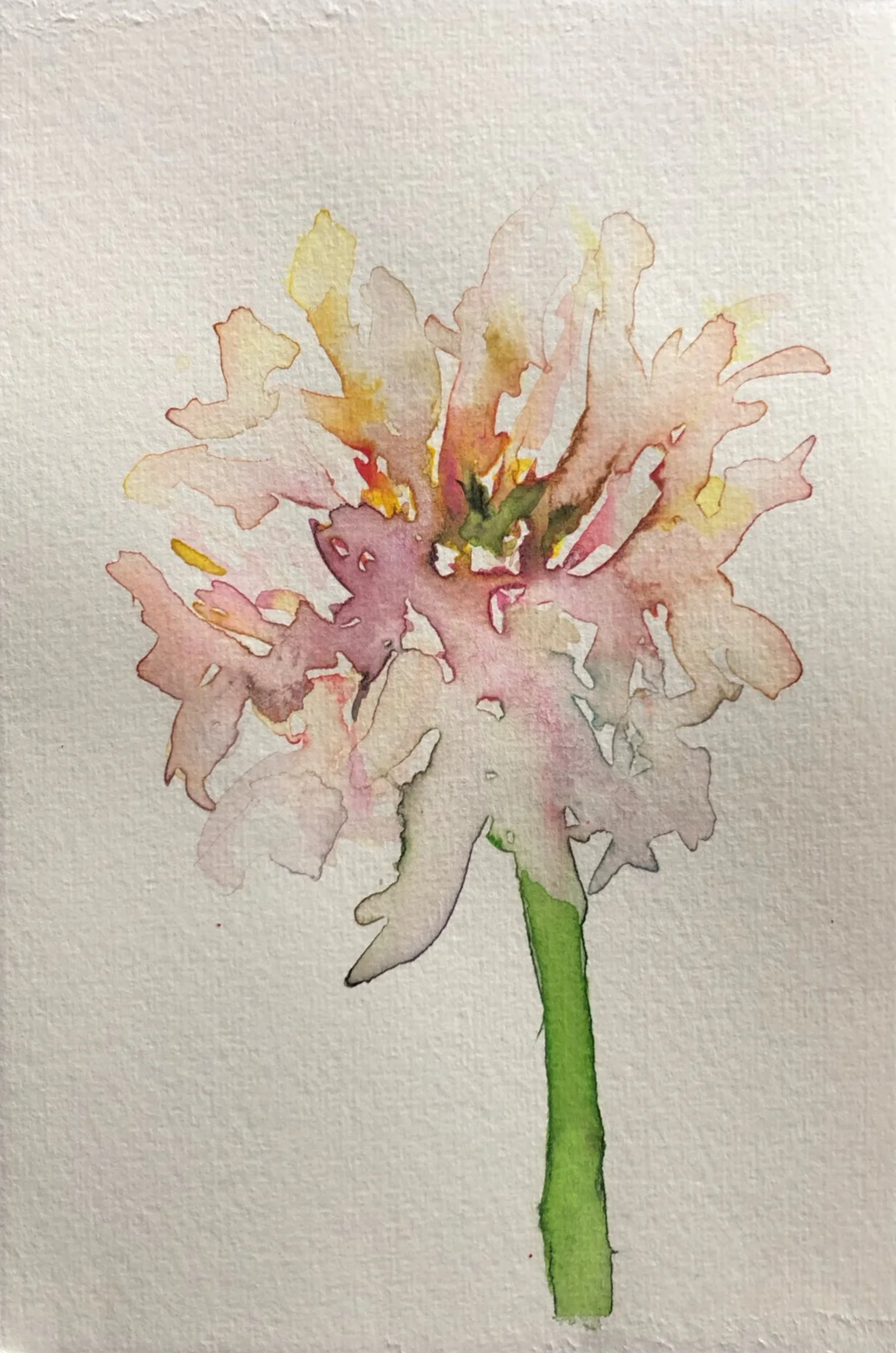 Watercolor painting of a pink and red flower with a green stem.