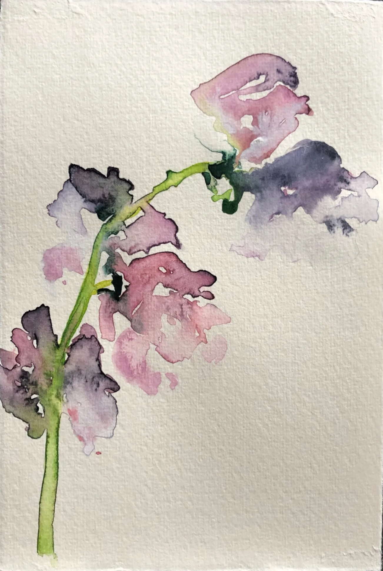Watercolor painting of a purple and pink flower with a green stem on a light textured background.