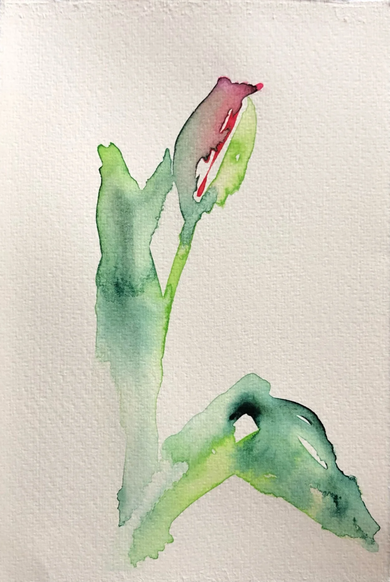 Watercolor painting of a partially opened flower with green leaves on a textured paper background.
