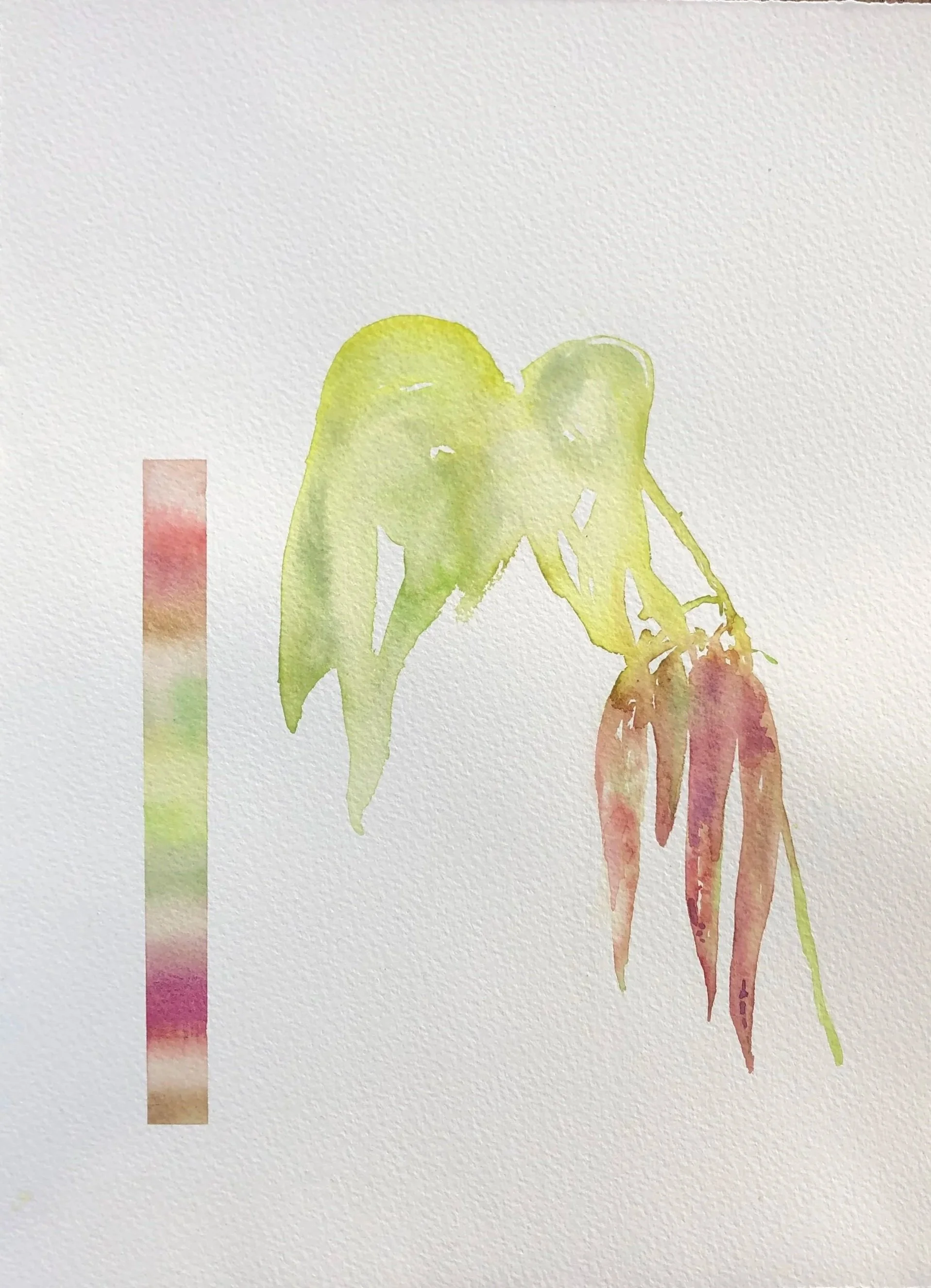 Watercolor painting of green and reddish-brown leaves and a stem on textured white paper.