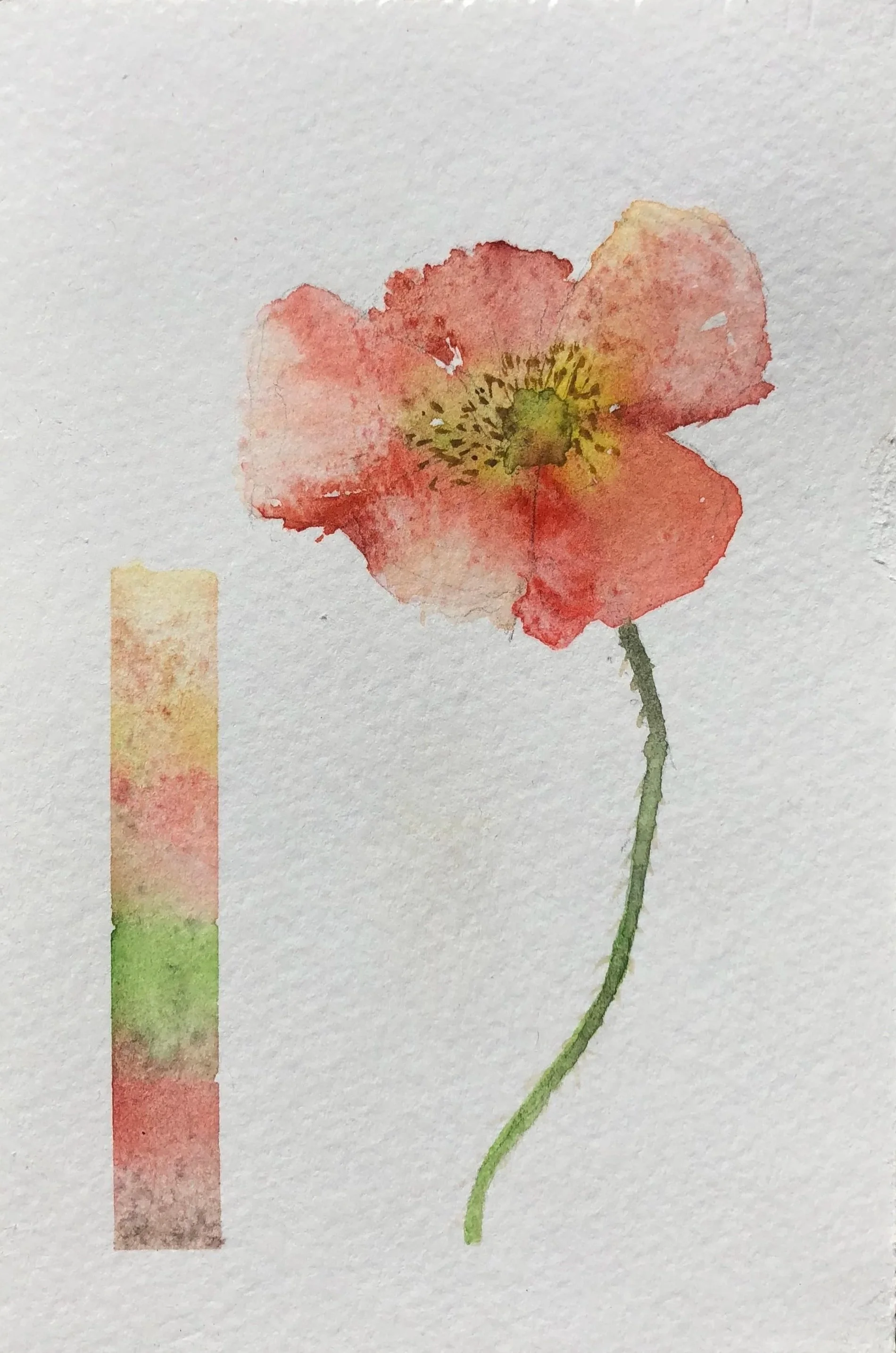 Watercolor painting of a pink poppy flower with a green stem, accompanied by a vertical color palette strip in shades of pink, yellow, and green.