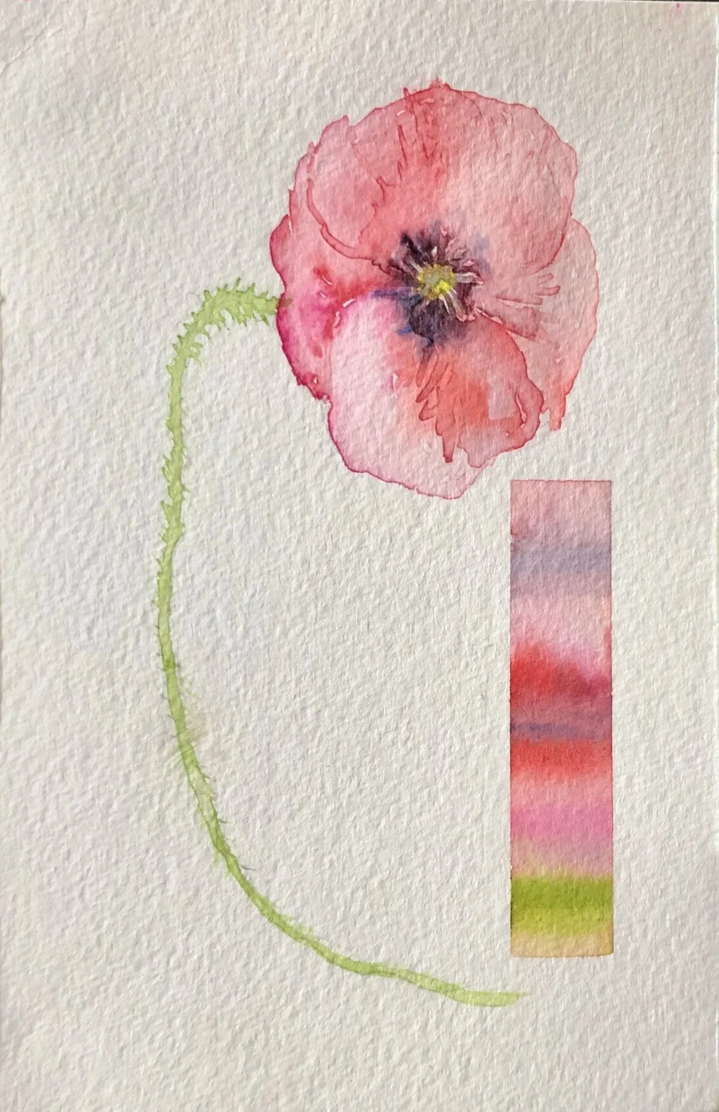 Watercolor painting of a single pink poppy flower with a green stem, and a vertical color gradient bar with shades of pink, purple, and green.