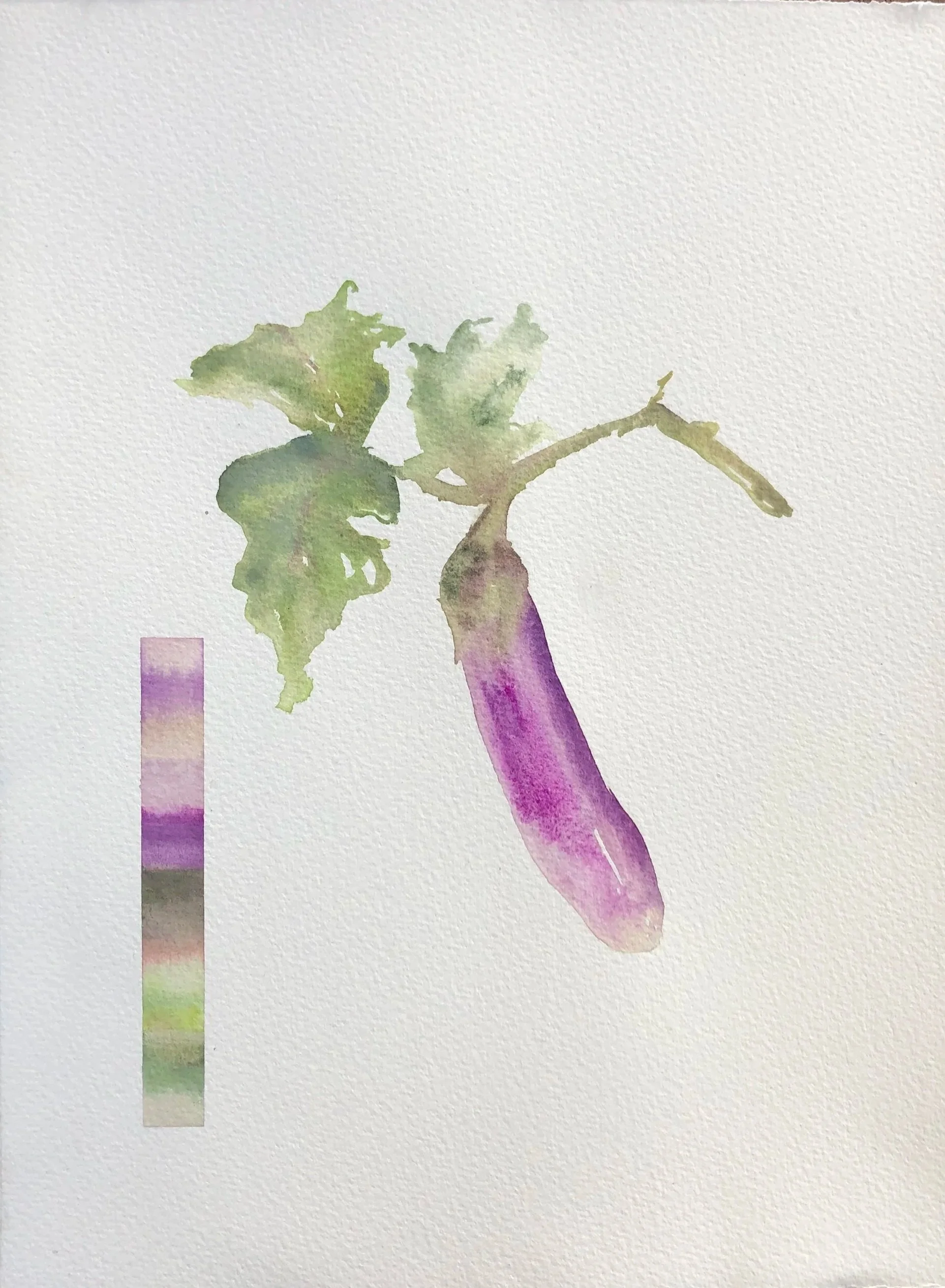 Watercolor painting of an eggplant with green leaves and a color palette on the left.