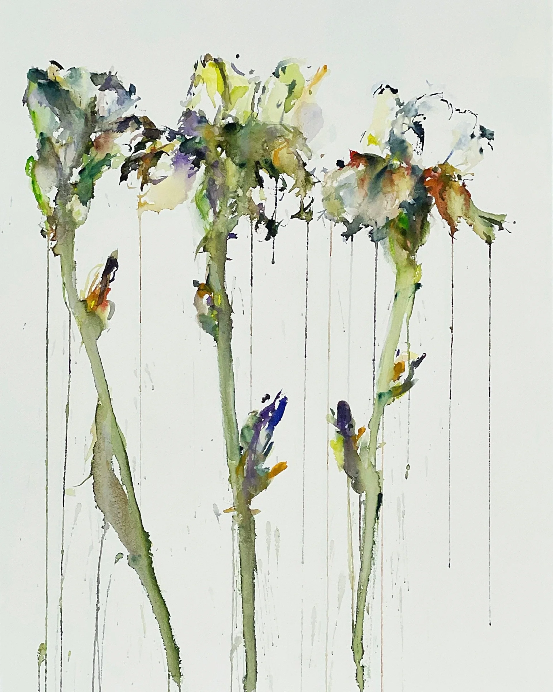 Watercolor painting of three wilted flowers with long stems, painted with loose brushstrokes and drips of paint on a white background.