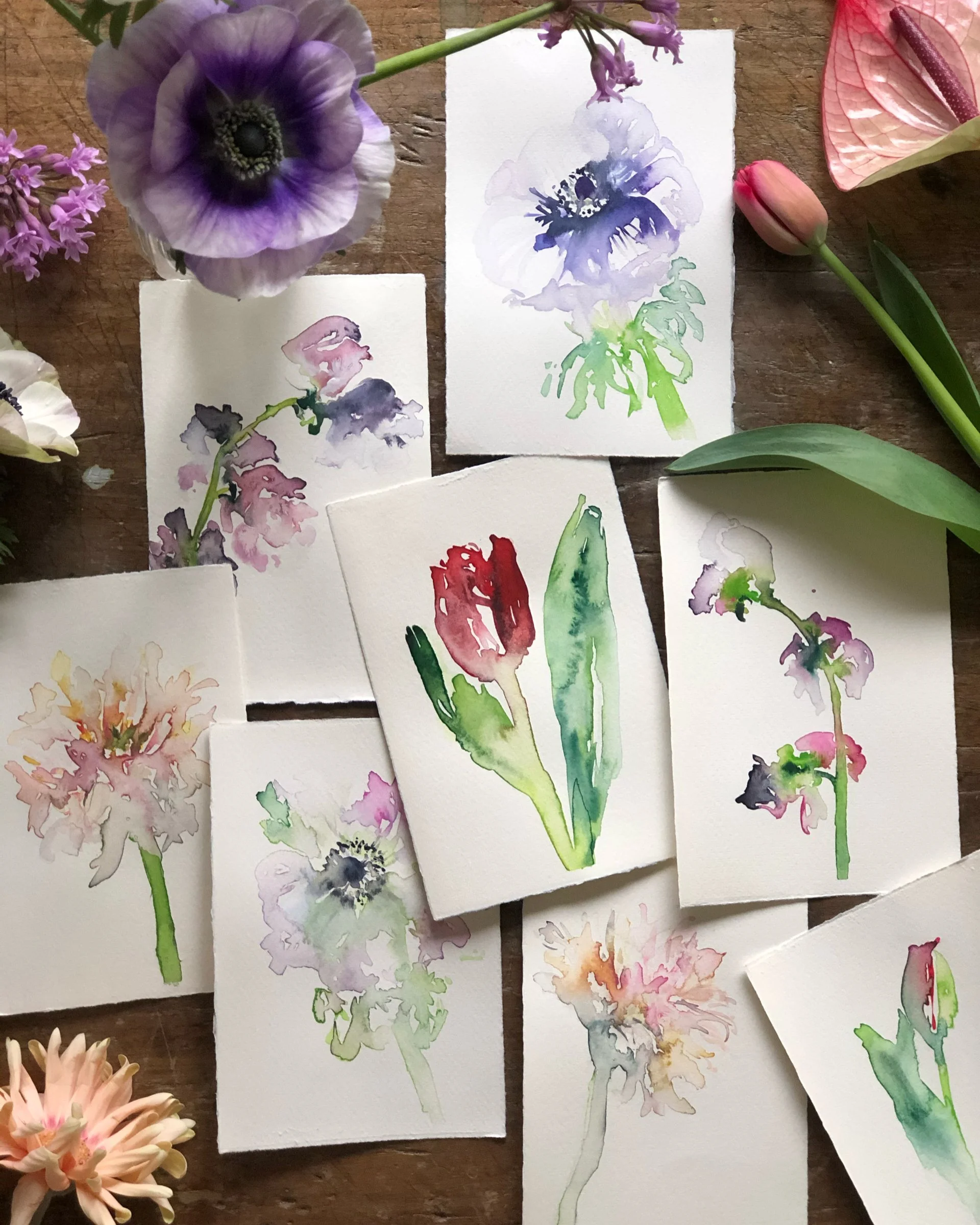 Several watercolor paintings of flowers, including tulips and anemones, are displayed on a wooden surface alongside real flowers like a purple anemone, pink tulips, and other blooms.