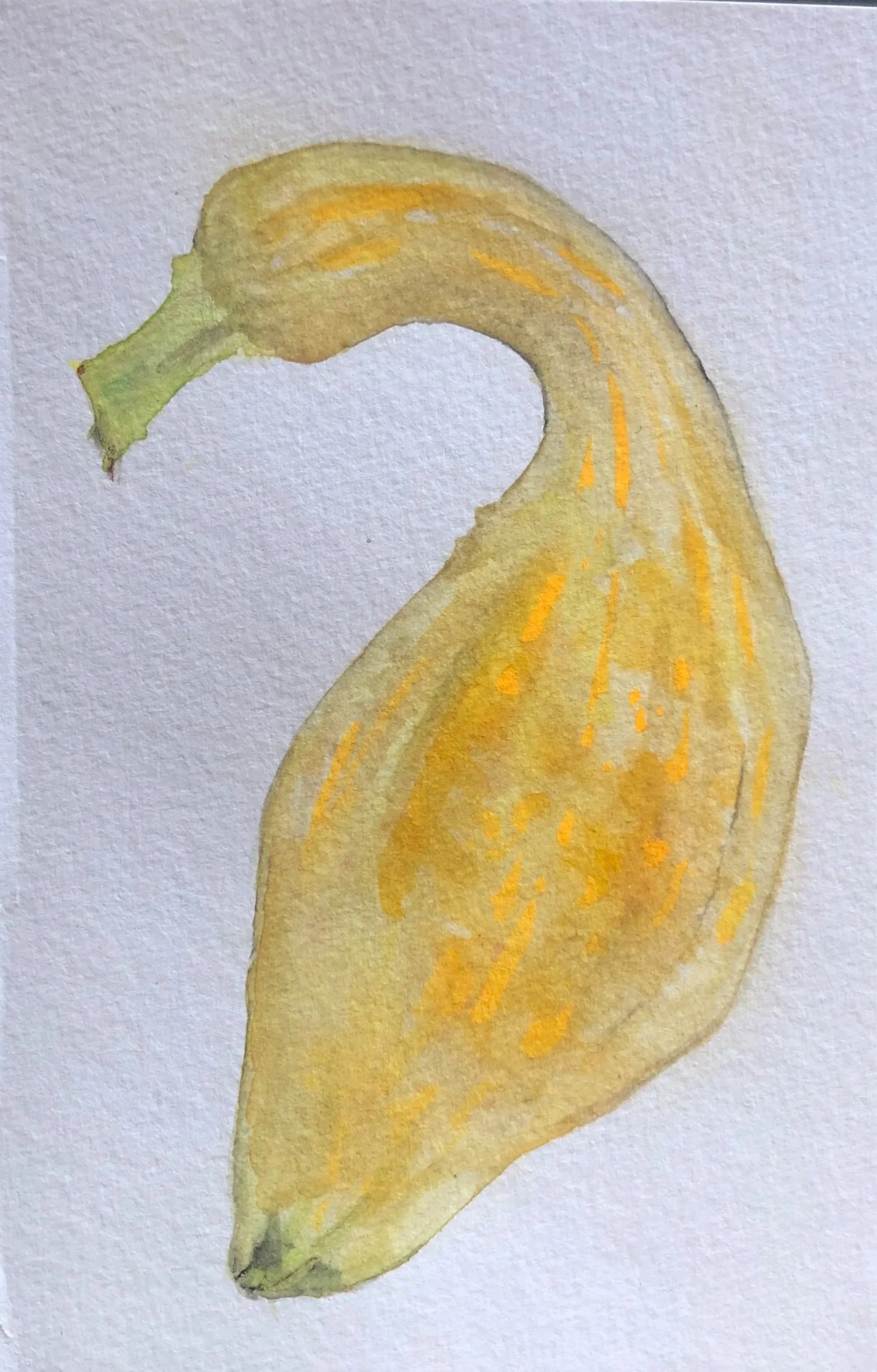 Watercolor painting of a yellow squash with green stem on white background.