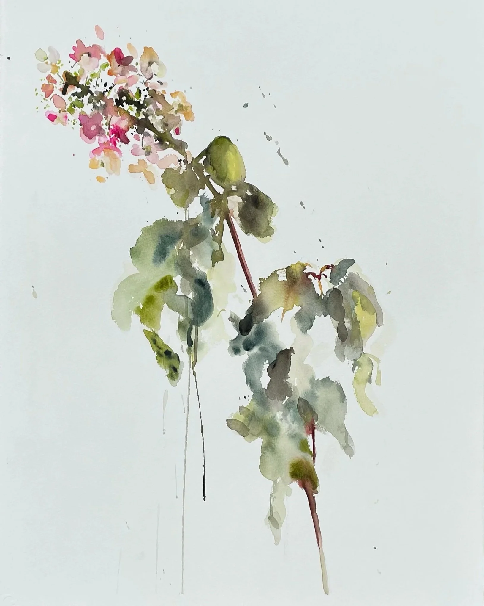 Watercolor painting of a flowering plant with pink blossoms at the top and green leaves.