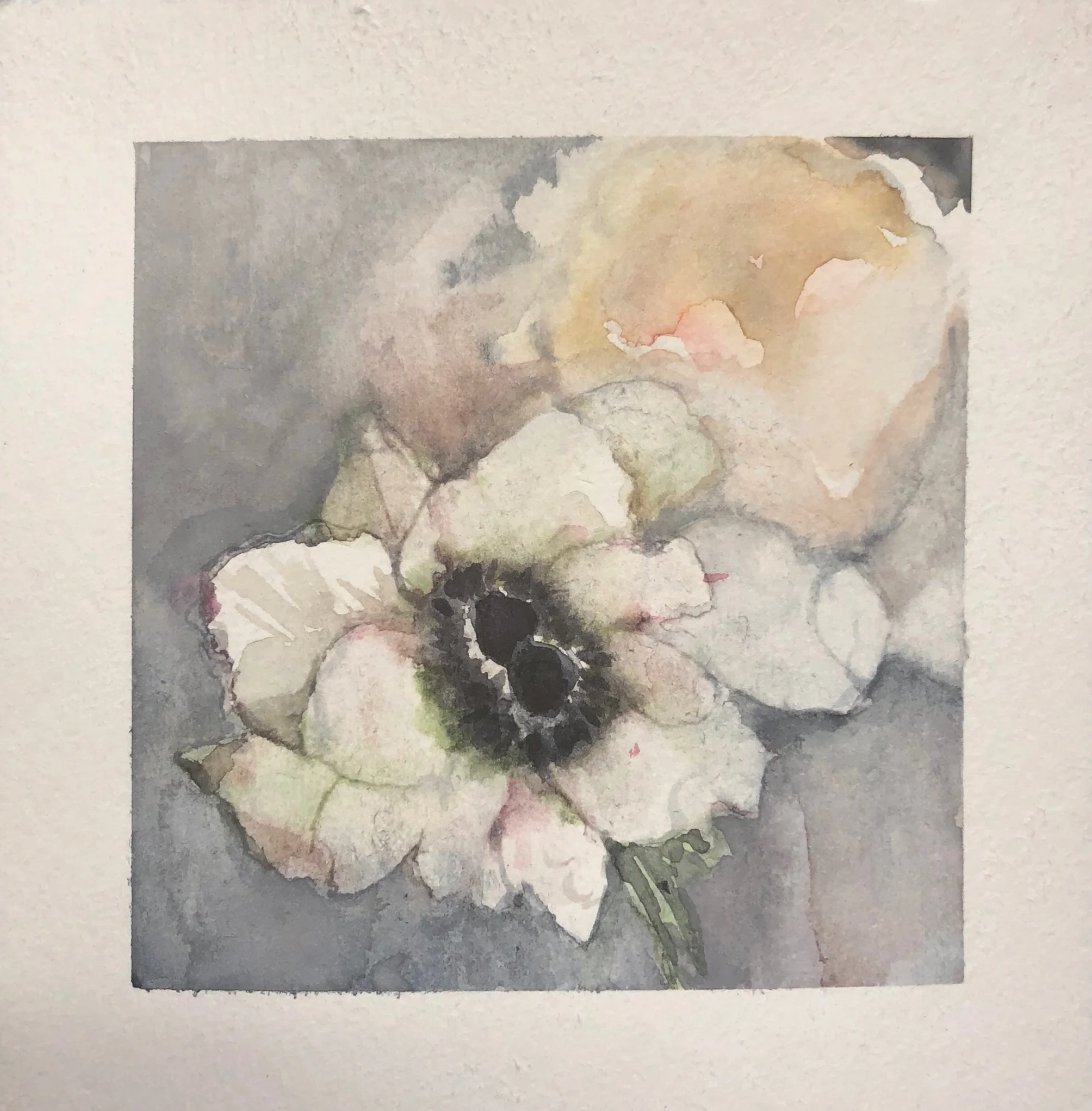 Watercolor painting of a white flower with dark center, surrounded by soft pastel colors.