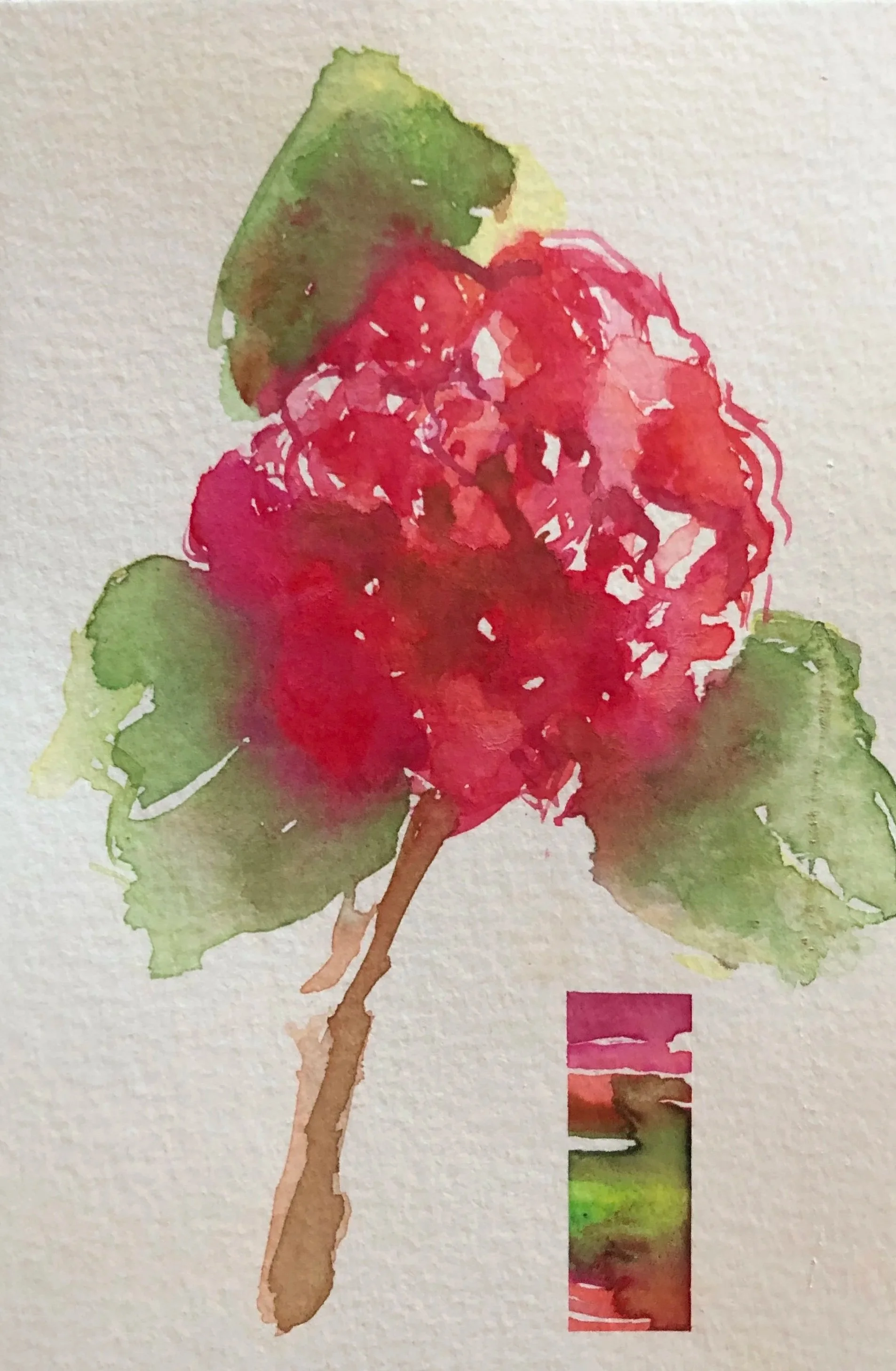 Floral Spectrum II, 6in x 4in, SOLD