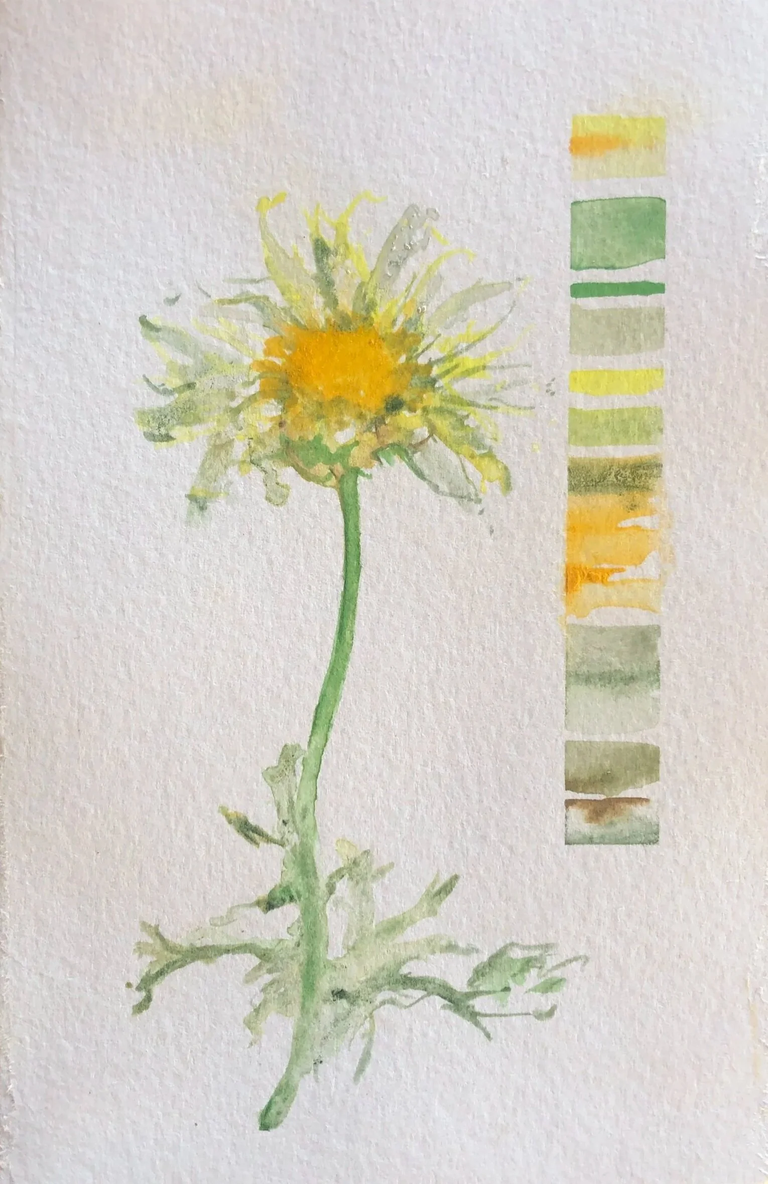 Watercolor painting of a yellow flower with a green stem, accompanied by a vertical color palette on the right side showing shades of yellow, green, and brown.
