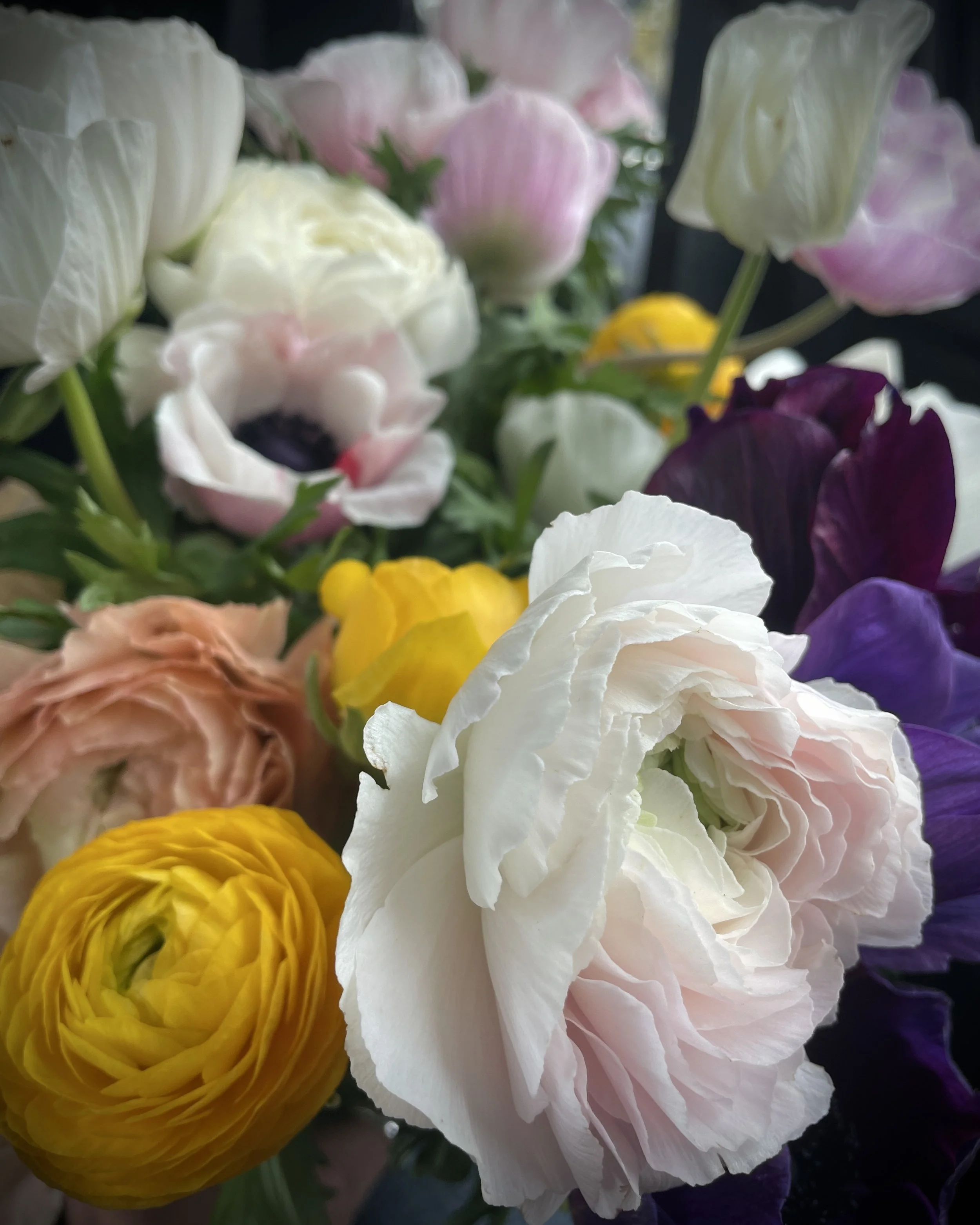 A close-up of a colorful bouquet of various flowers including white, pink, yellow, purple, and peach blossoms.
