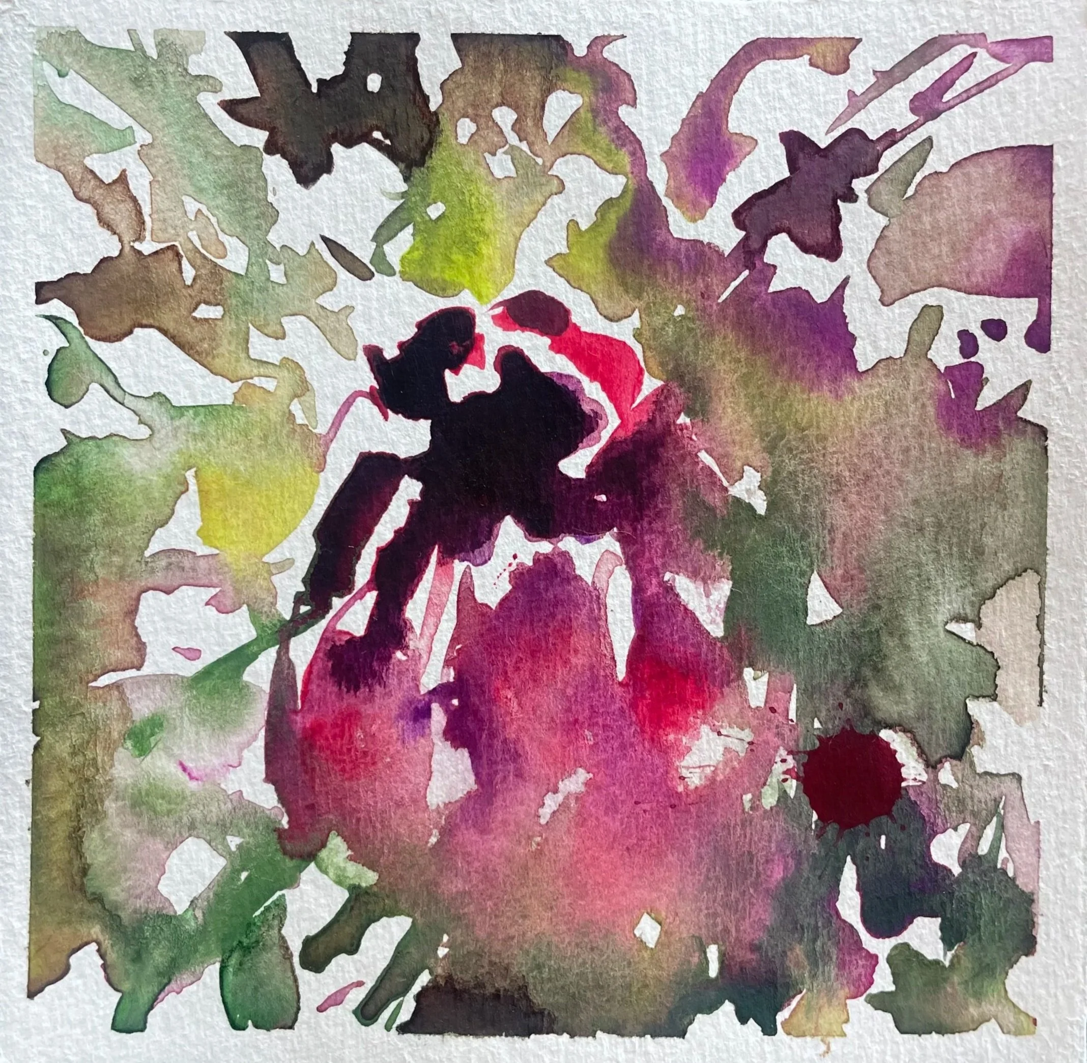 Watercolor painting of a pink and black flower with green foliage in the background.