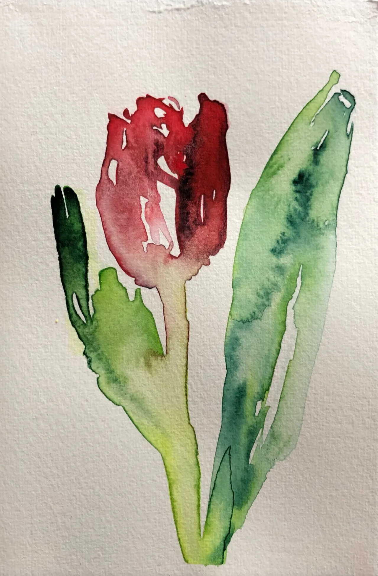 Watercolor painting of a red tulip with green leaves and stem on textured paper.