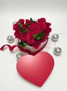 IMG_1451.PNG