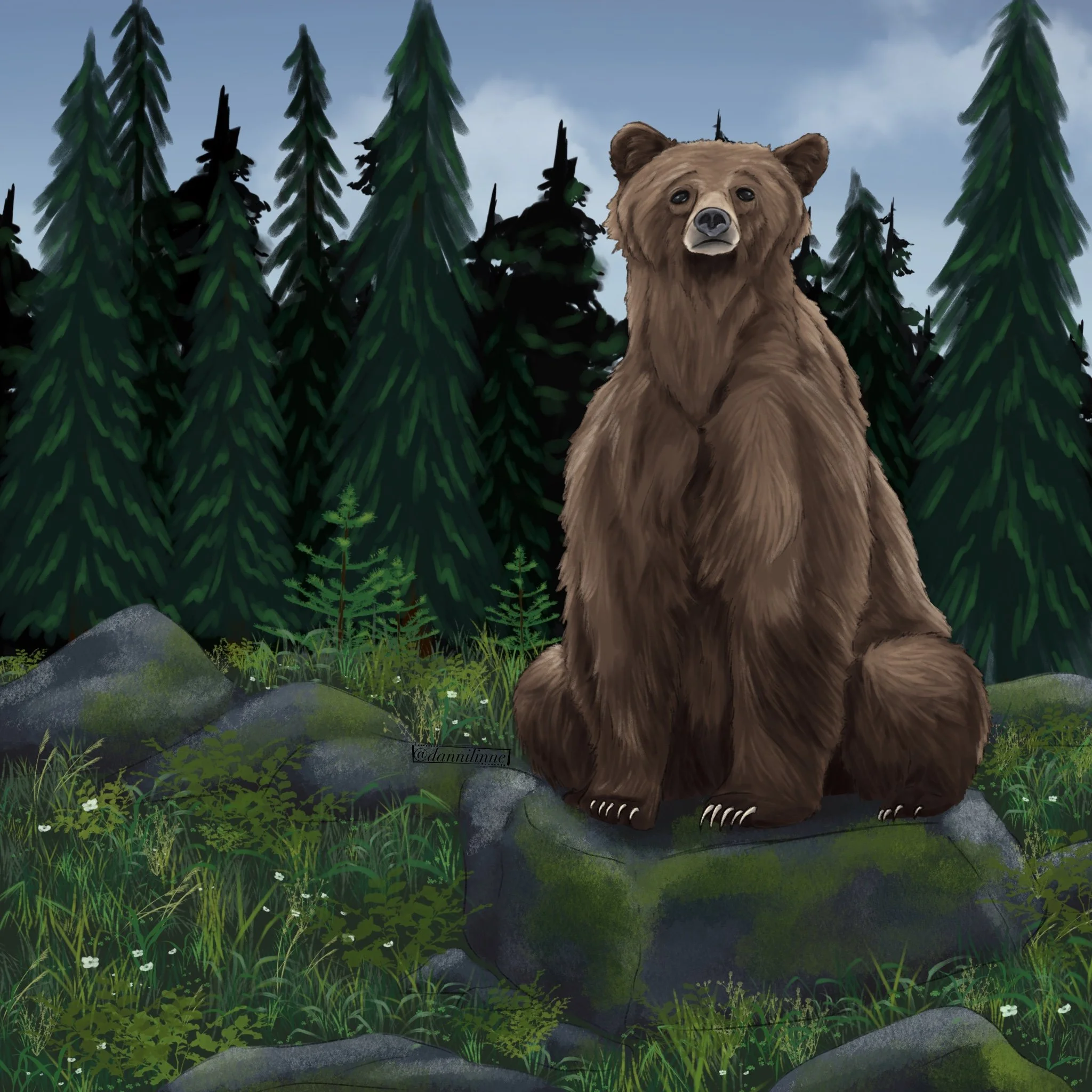 Brown Bear - Jan 2025