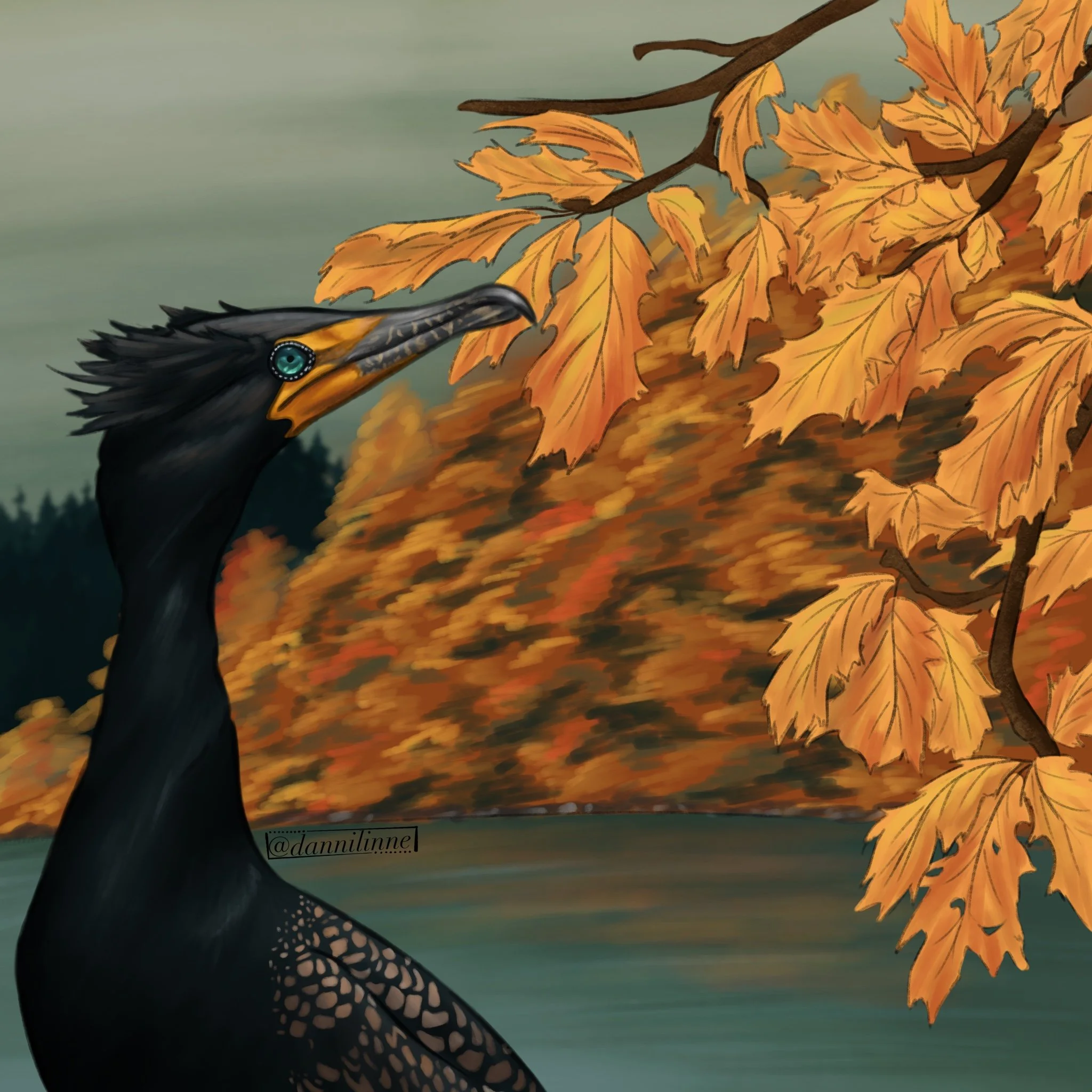 Double-Crested Cormorant - Sept. 2024