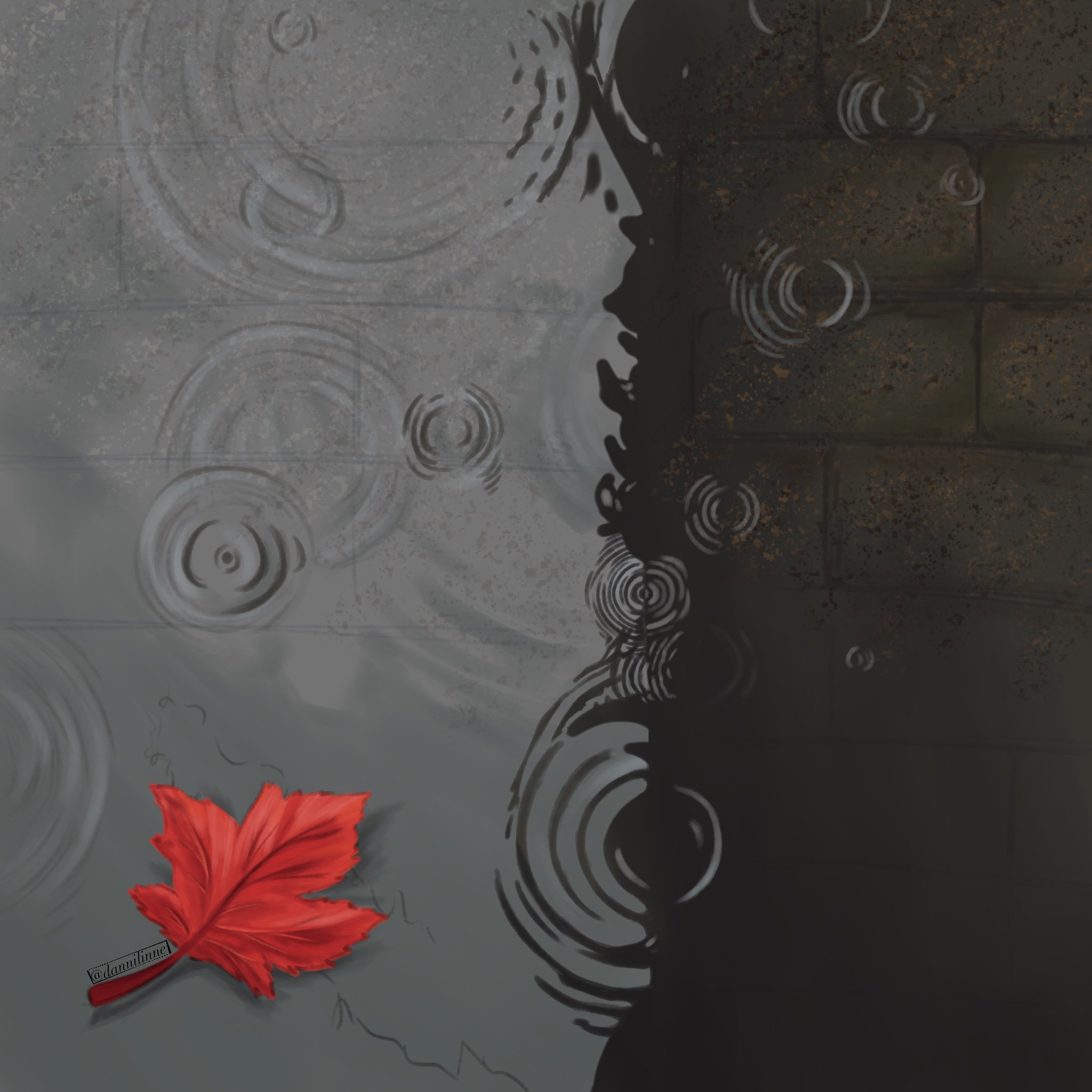 Raindrops - Sept. 2024