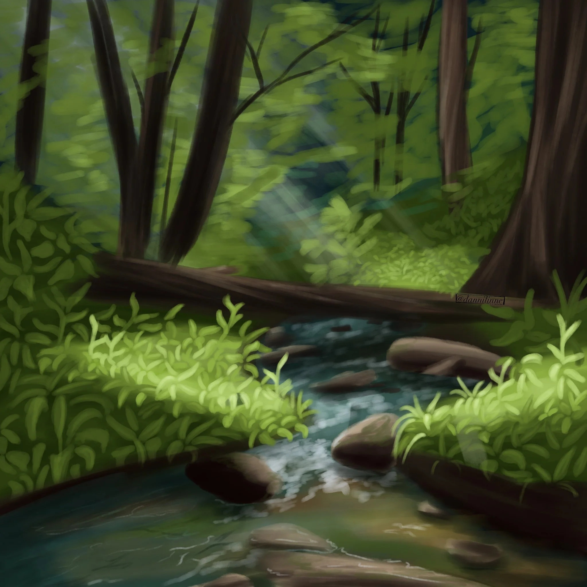 Forest River - July 2024