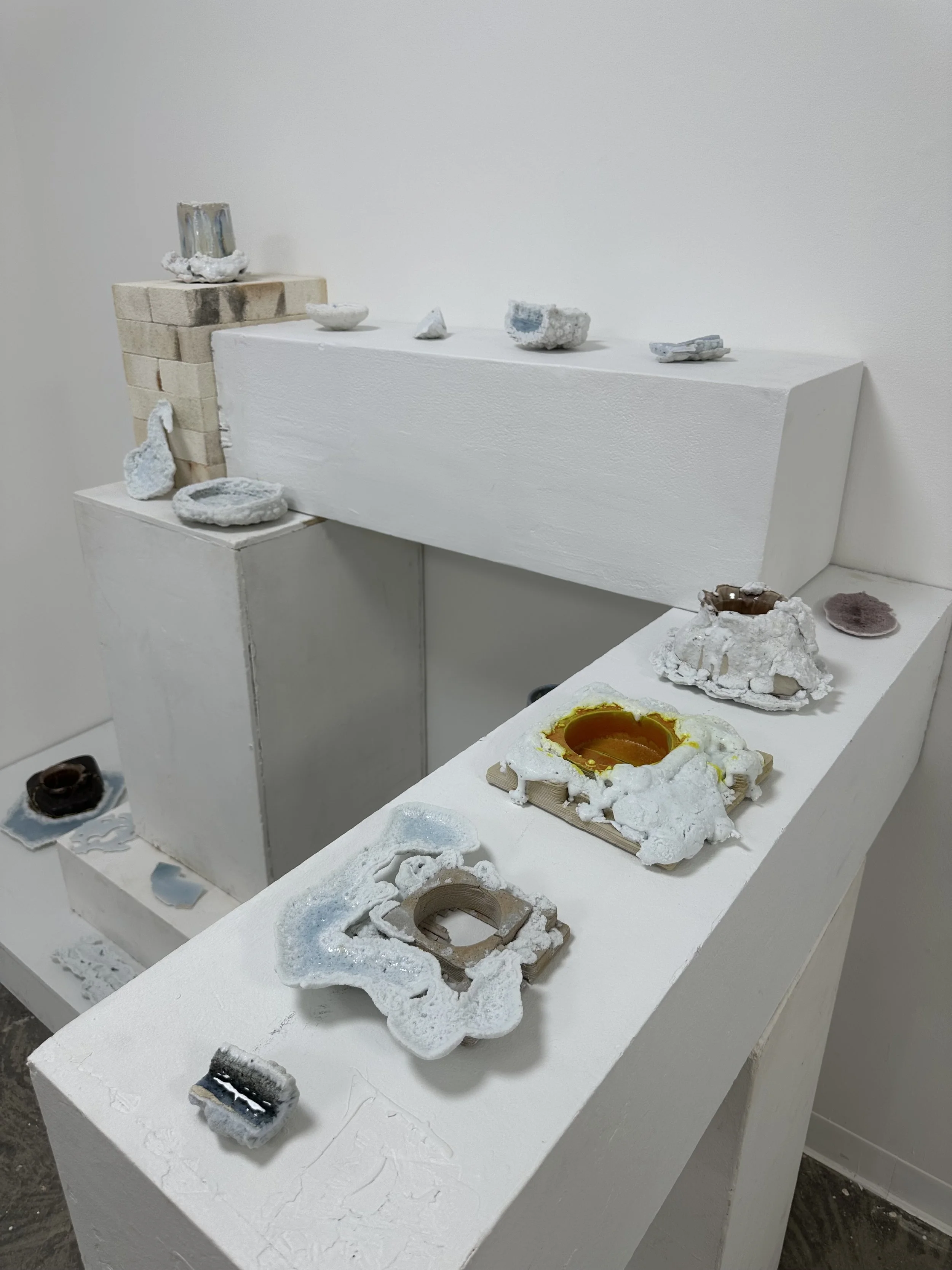 Photo Mar 26 2025, 4 39 09 PM.jpg