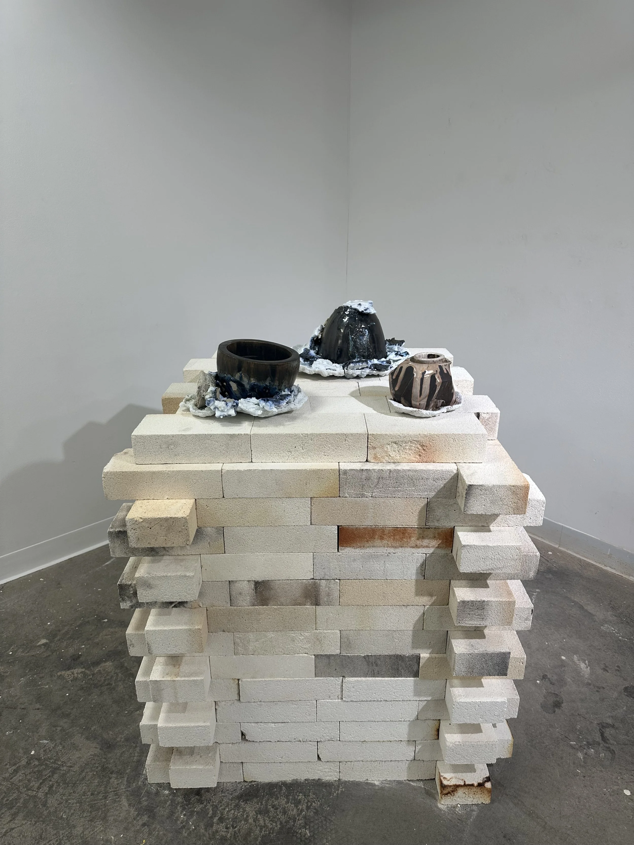 Photo Mar 19 2025, 3 23 39 PM.jpg