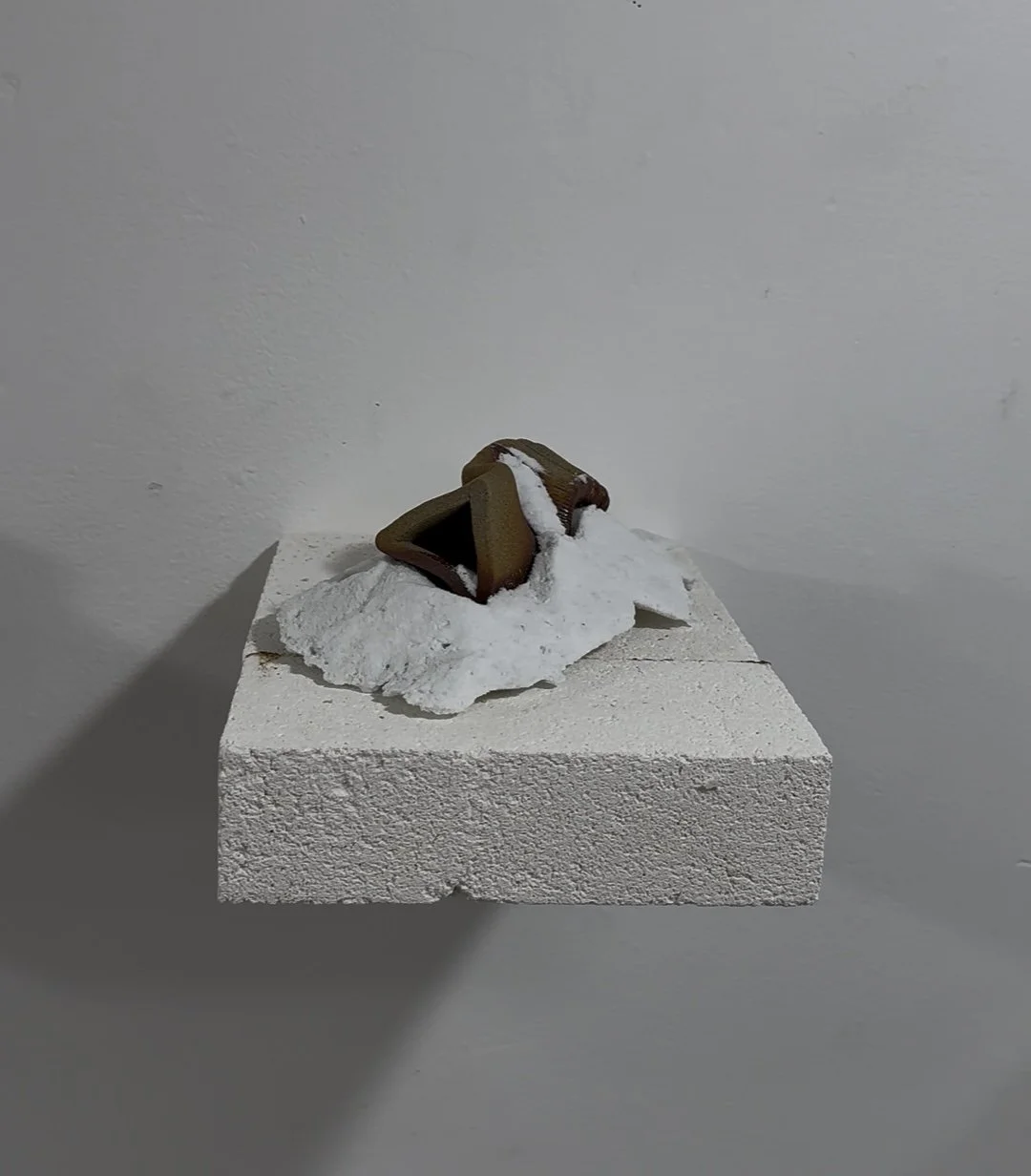 Photo Mar 27 2025, 9 55 55 PM.jpg