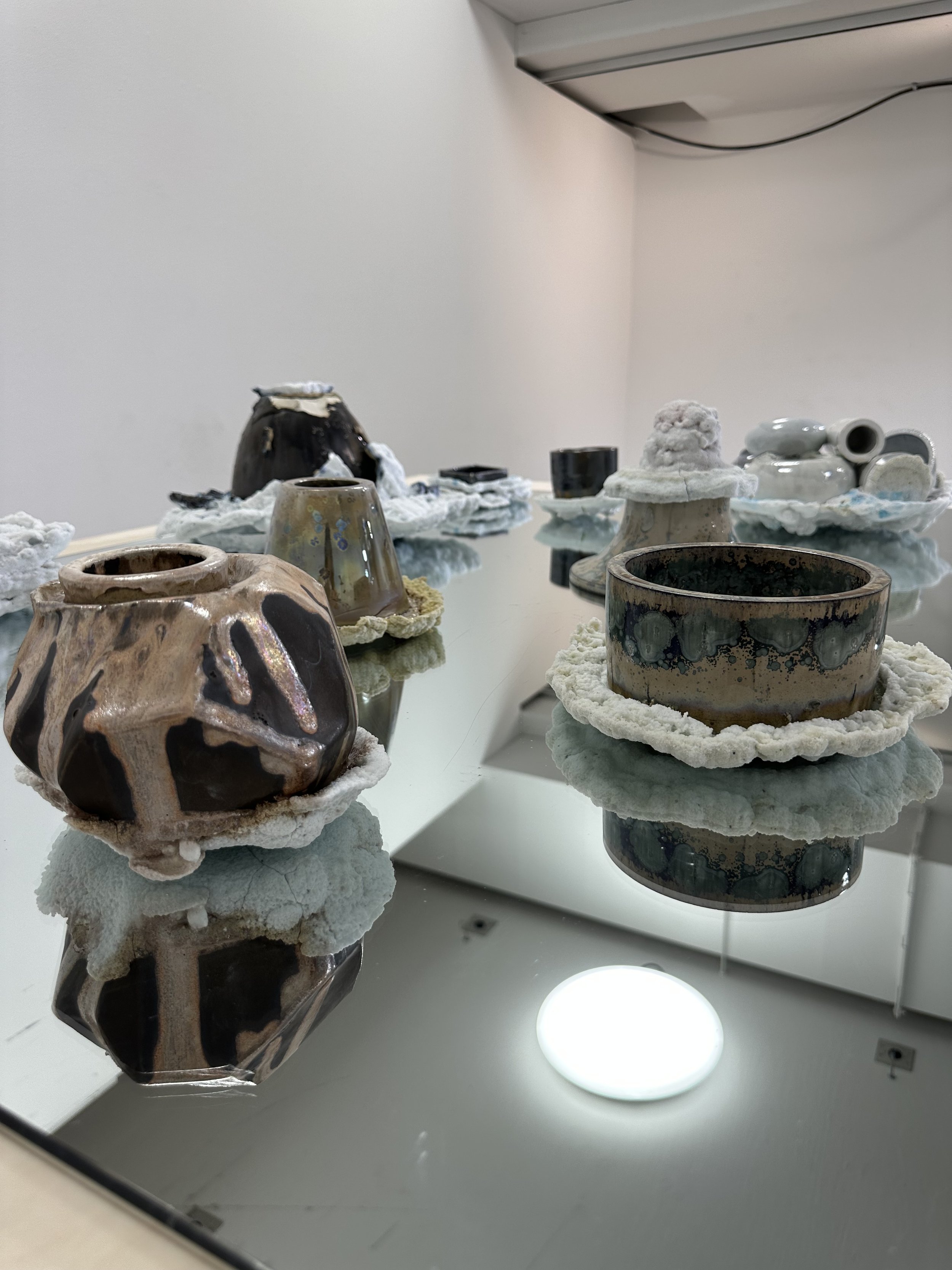 Photo Mar 26 2025, 4 47 36 PM.jpg