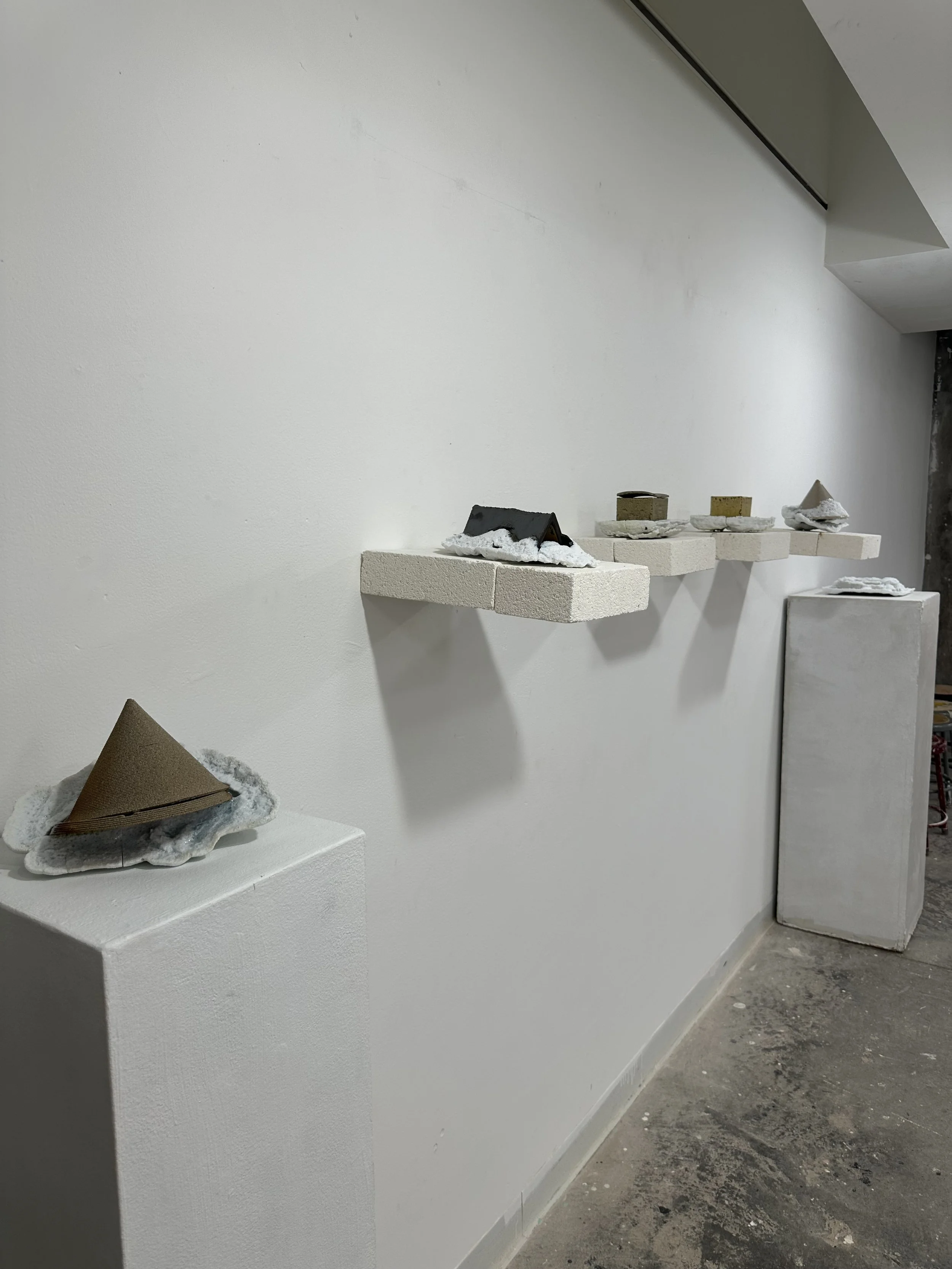 Photo Mar 26 2025, 4 46 01 PM.jpg