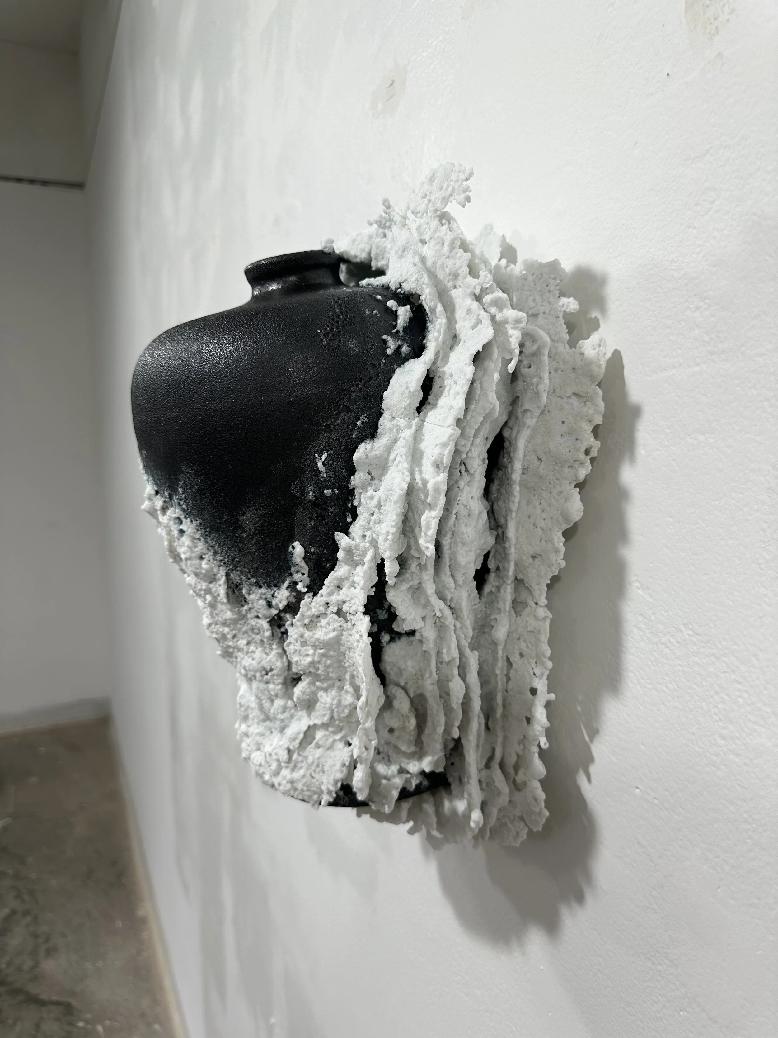 Photo May 17 2025, 3 56 30 PM.jpg