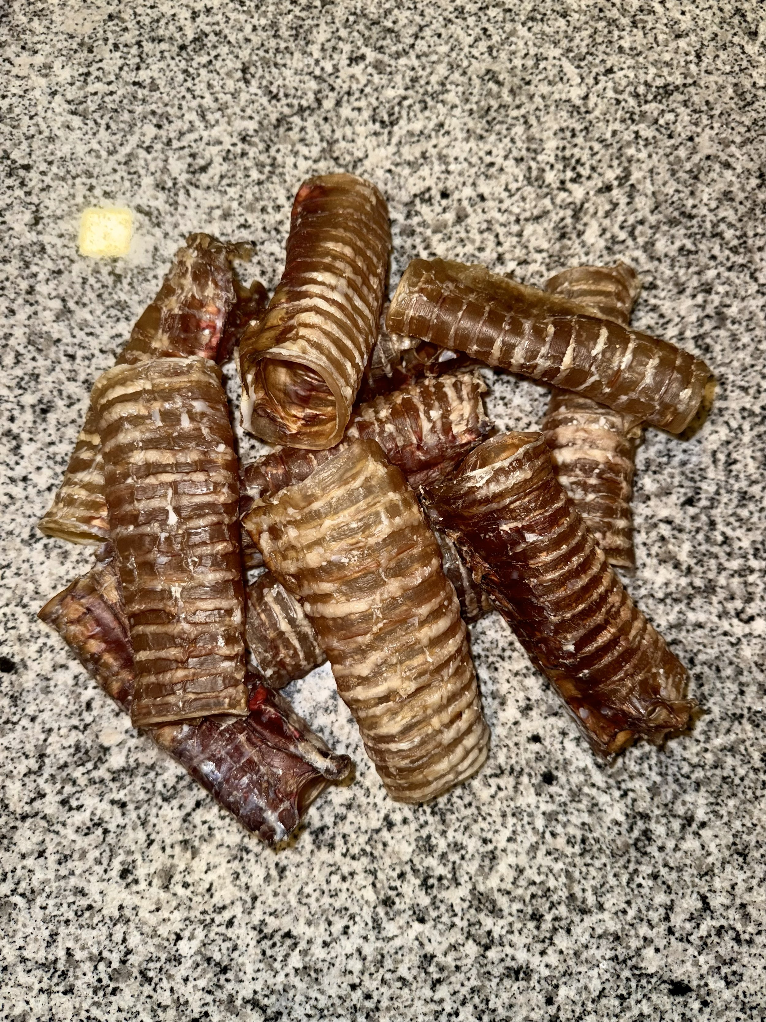 Tráqueas de Res 🐄