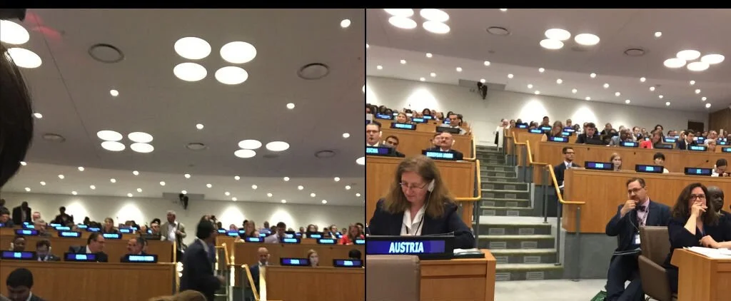 sti sustainable development goals forum