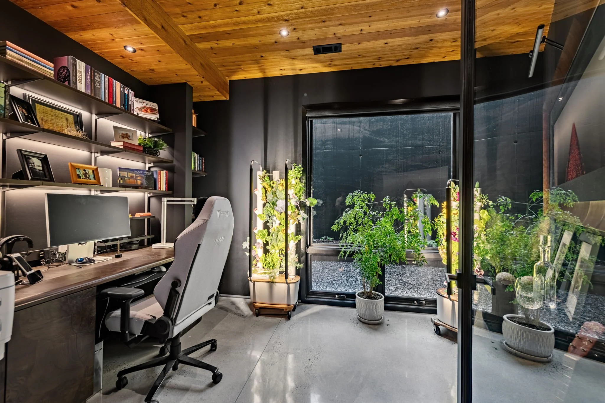 Modern office design with plants 