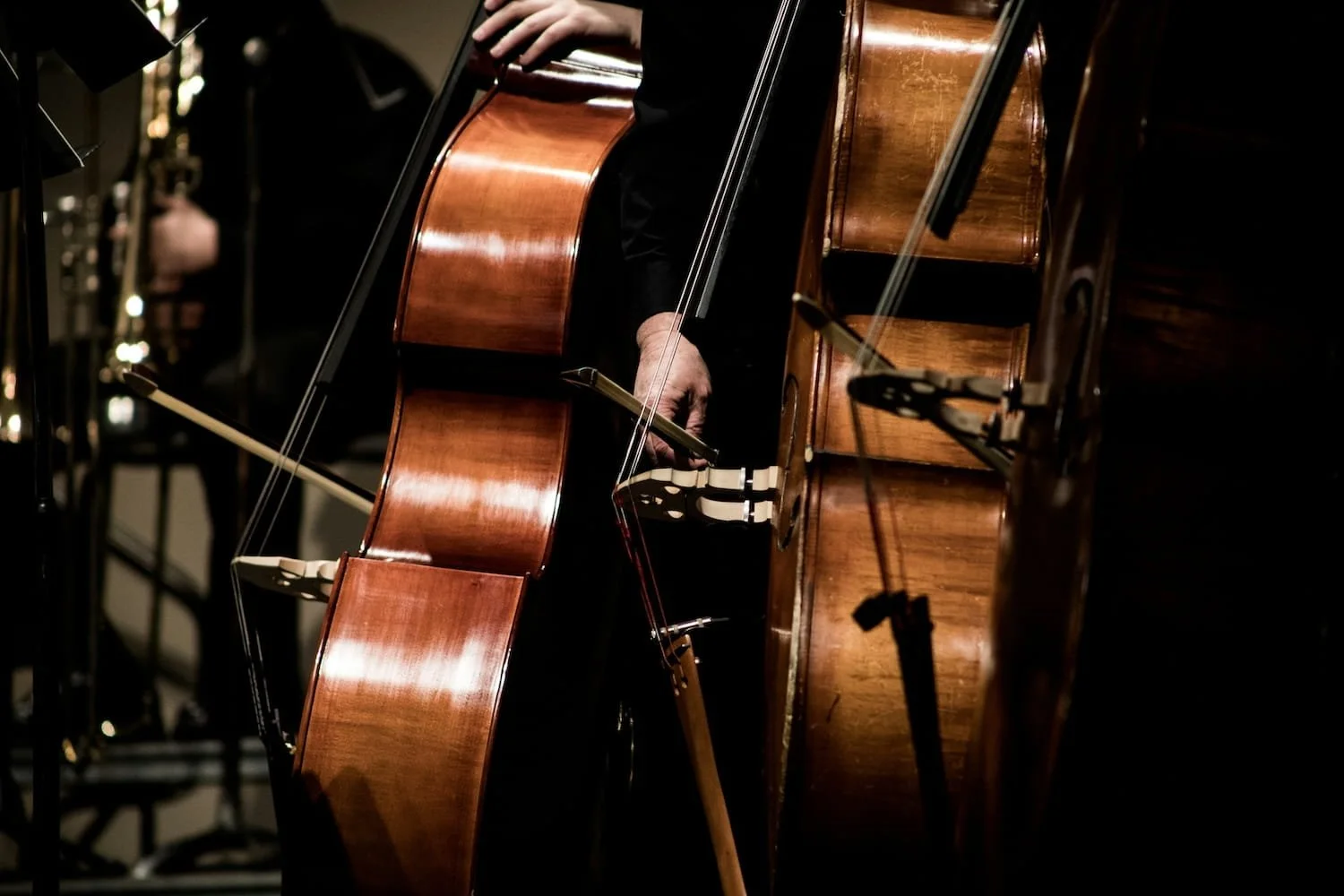 Double bass section players performing together during orchestra rehearsal