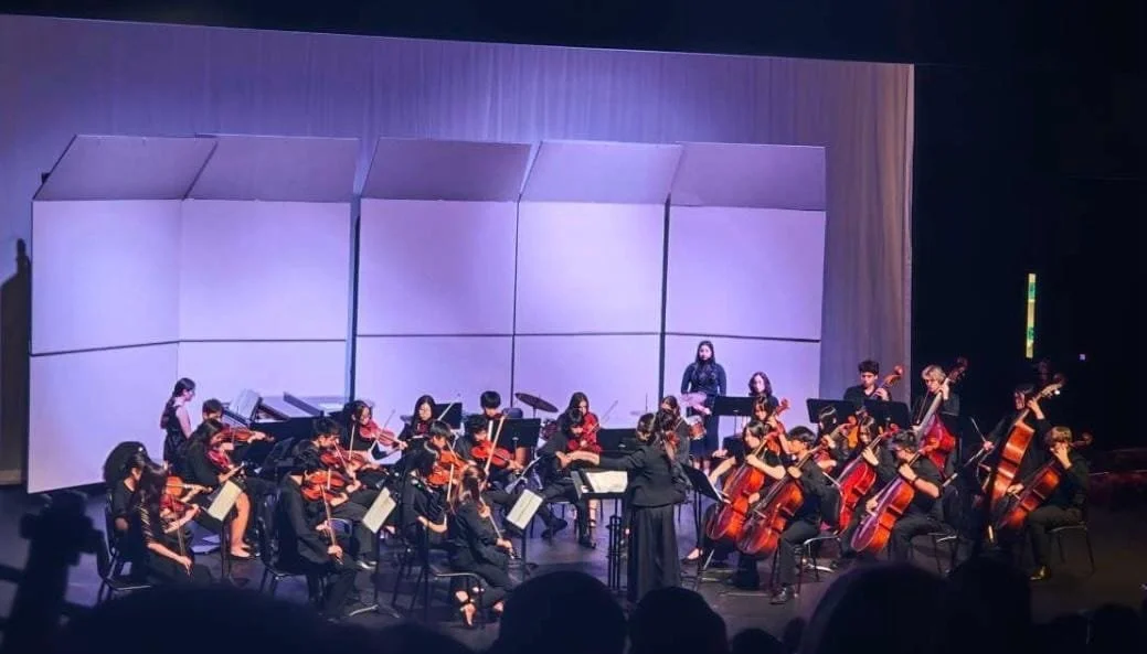 Village High School chamber orchestra performing on stage during evening concert with dramatic purple lighting