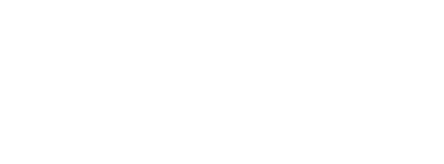Village Chamber Orchestra