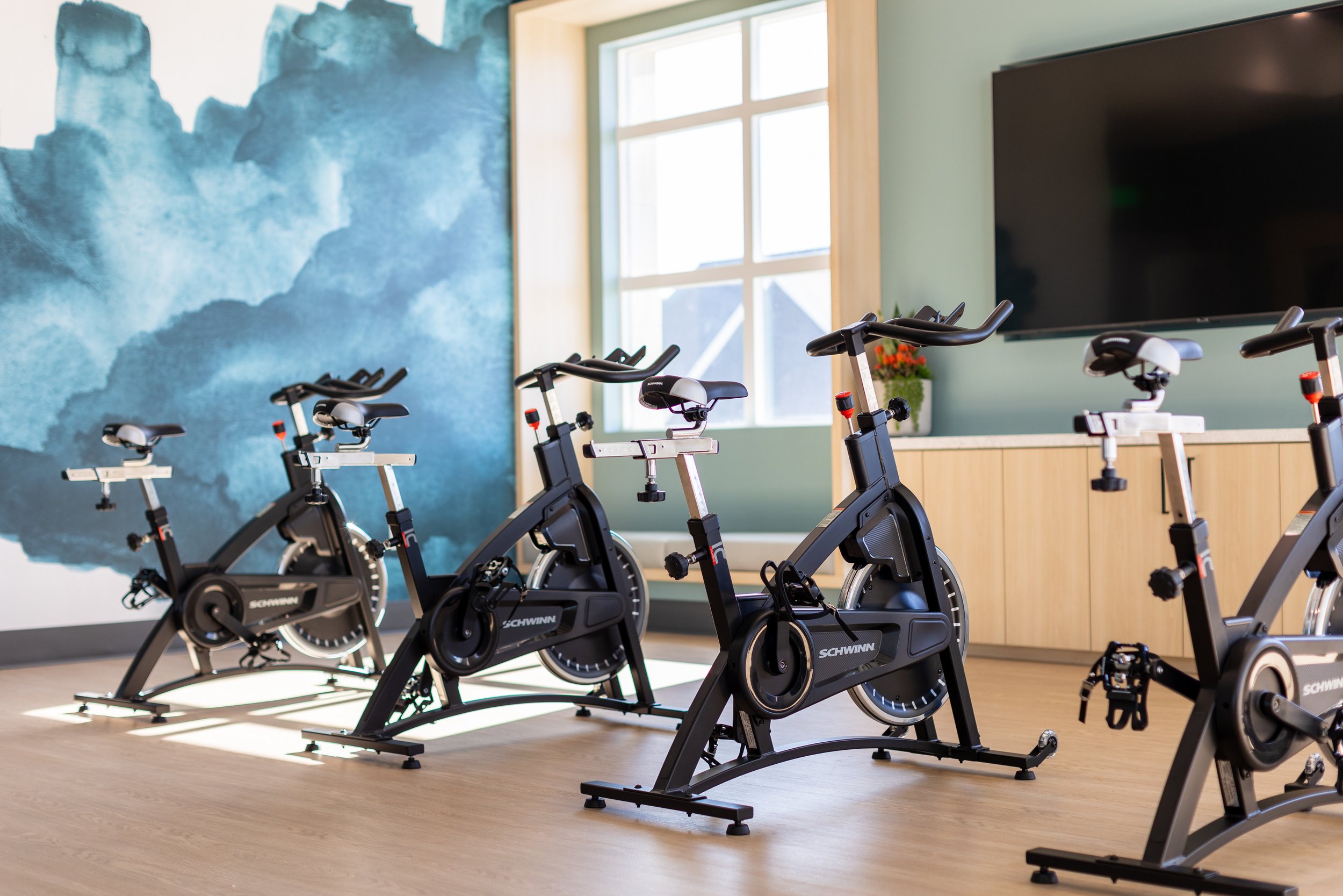 Four stationary exercise bikes in a fitness room with a large window and a blue mountain mural on the wall.