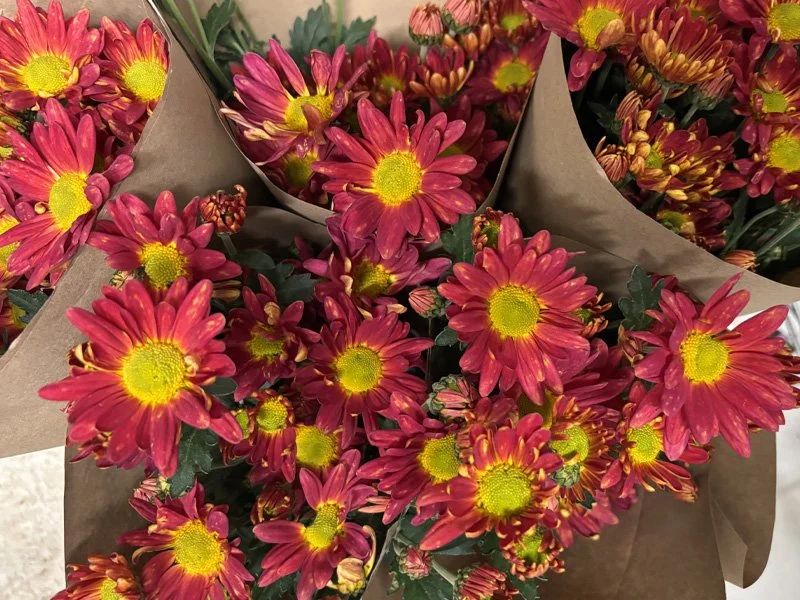 Full Season Flower CSA Membership