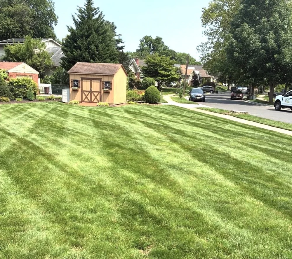 Lawn care in Haddon Heights, NJ