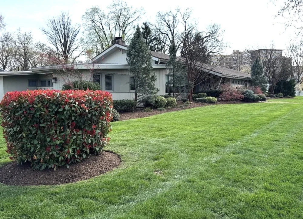 Lawn care in Collingswood, NJ
