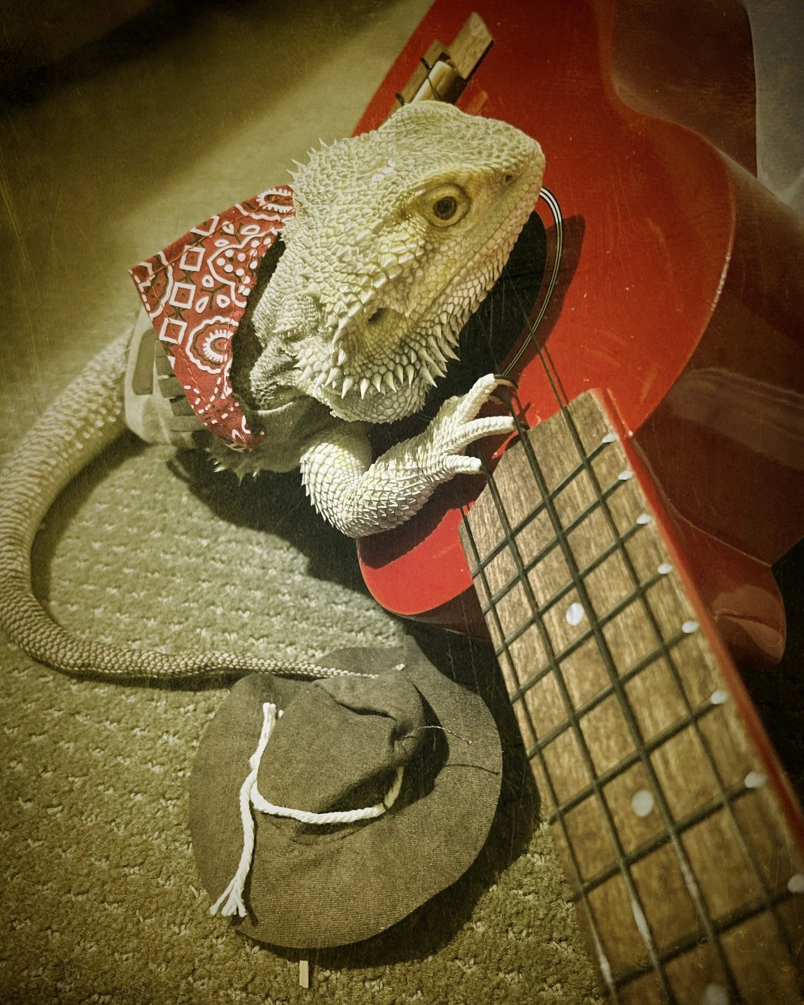 A bearded dragon wearing a red bandana around its neck sitting beside a red acoustic guitar, with a brown hat and a white rope in front of it on a carpeted floor.