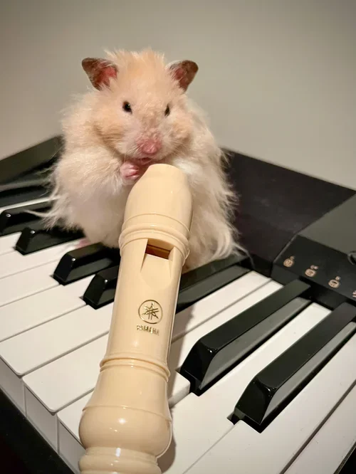 A hamster sitting on a piano keyboard holding a recorder in its paws.