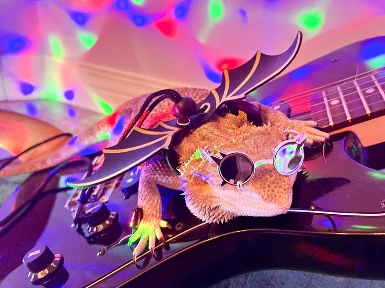 A gecko wearing small round sunglasses and plastic armor, surrounded by colorful party lights, sitting on a black electronic device, with a toy sword on its back and a guitar nearby.