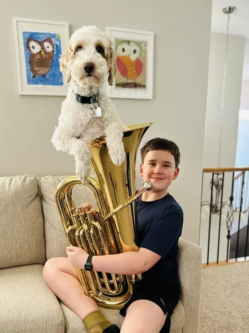 A young boy sitting on a couch playing a tuba with a white dog perched on the top of the tuba, inside a home with framed owl artwork on the wall.
