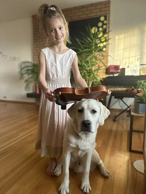 A young girl with a ponytail holding a violin over a Labrador Retriever in a living room.