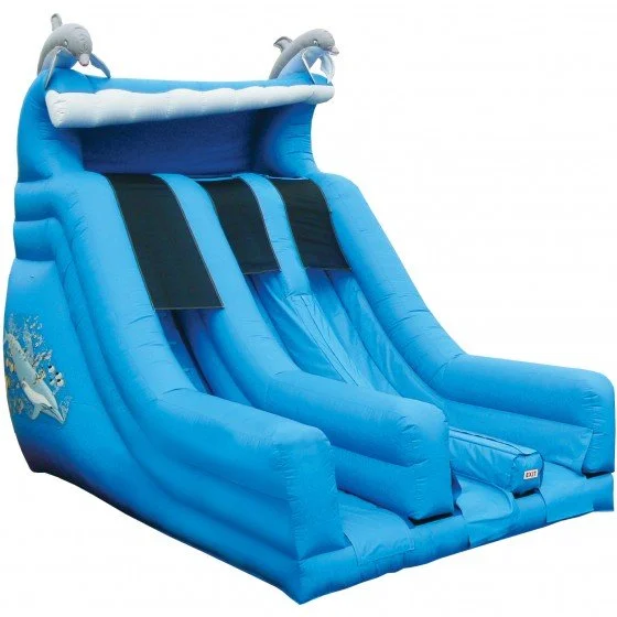 Dolphin Dual Lane Dry Slide.jpeg
