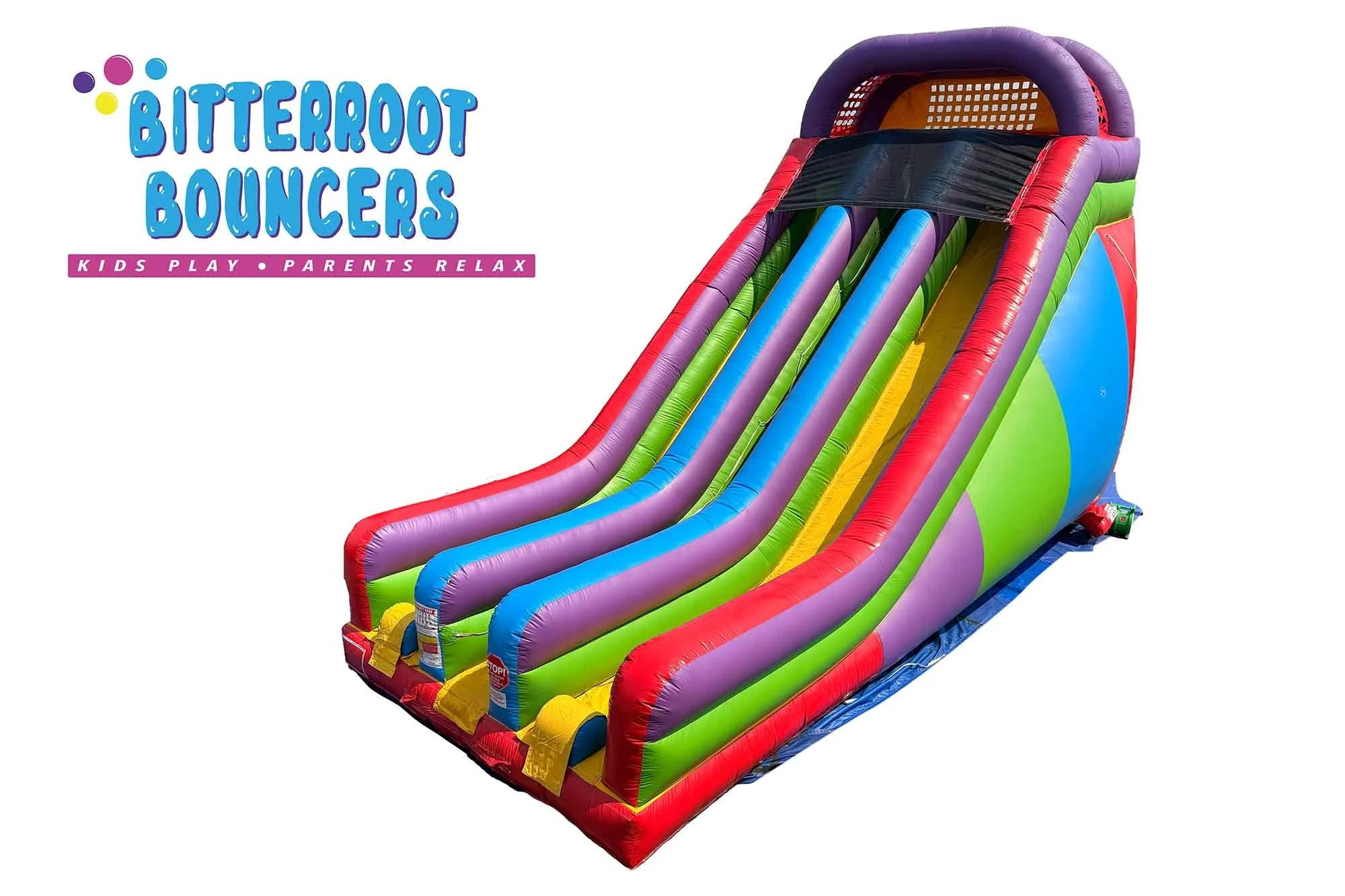 Giant Dual Lane Slide