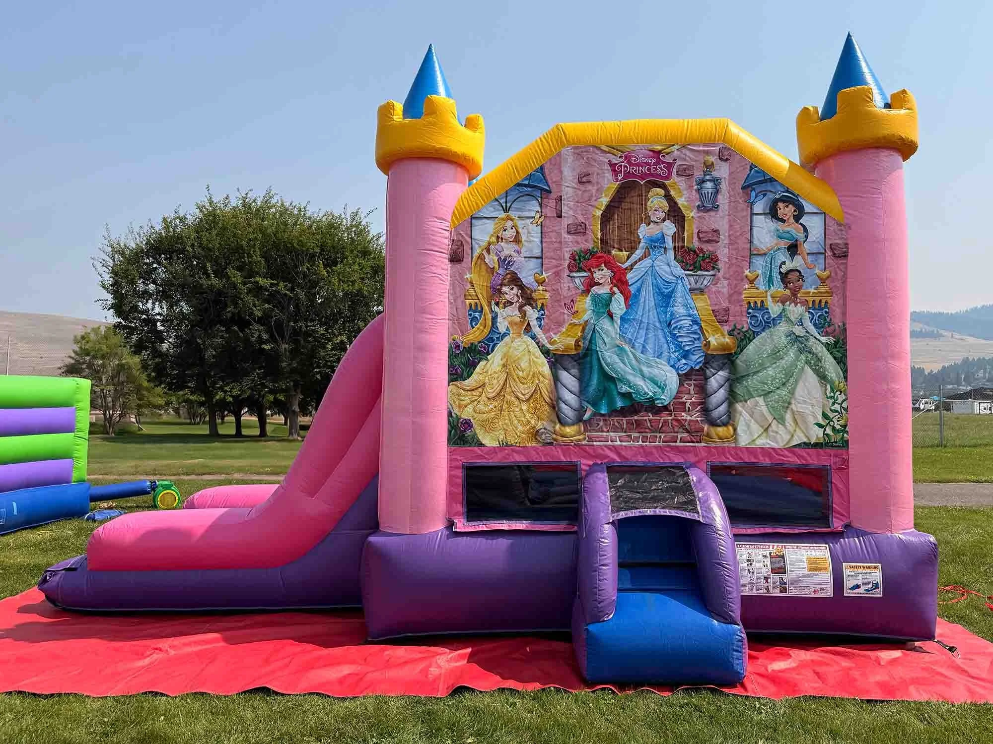 Disney Princess Combo (wet or dry)