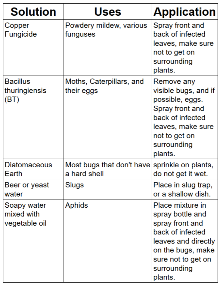 Table showing solutions, their uses, and applications for pest control, including copper fungicide, Bacillus thuringiensis (BT), diatomaceous earth, beer or yeast water, and soapy water mixed with vegetable oil.